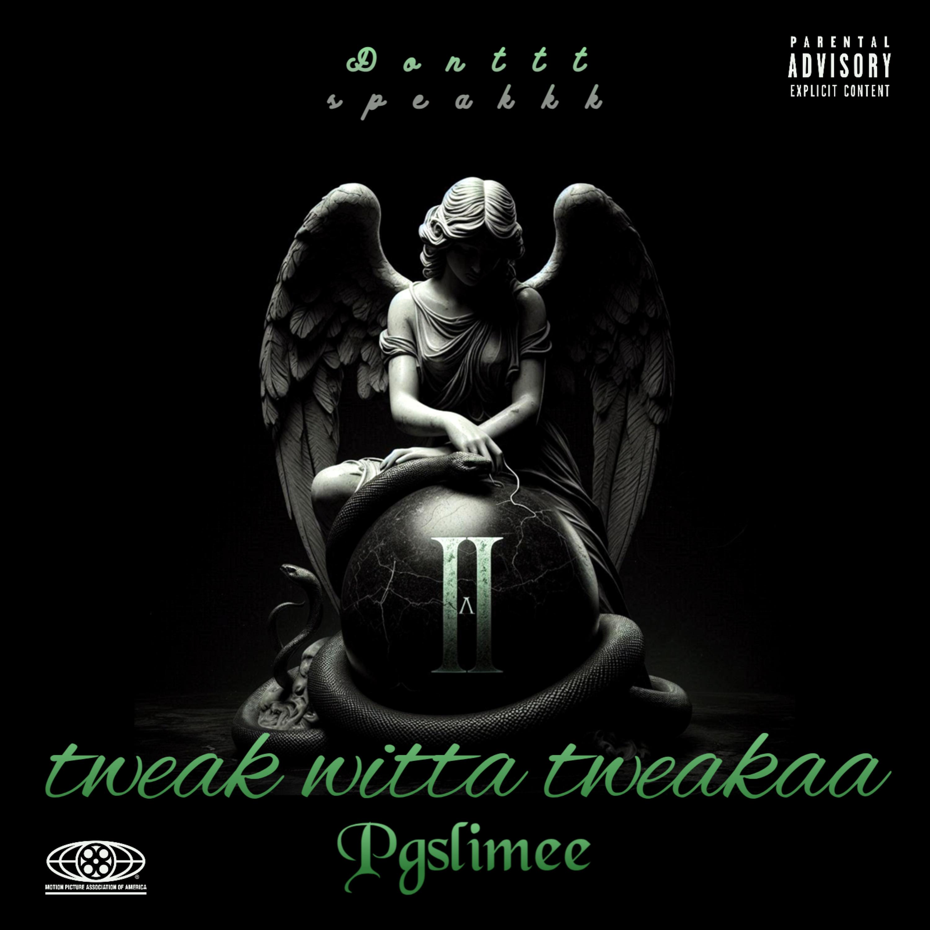 Tweak Witta Tweakaa(TWT) artwork