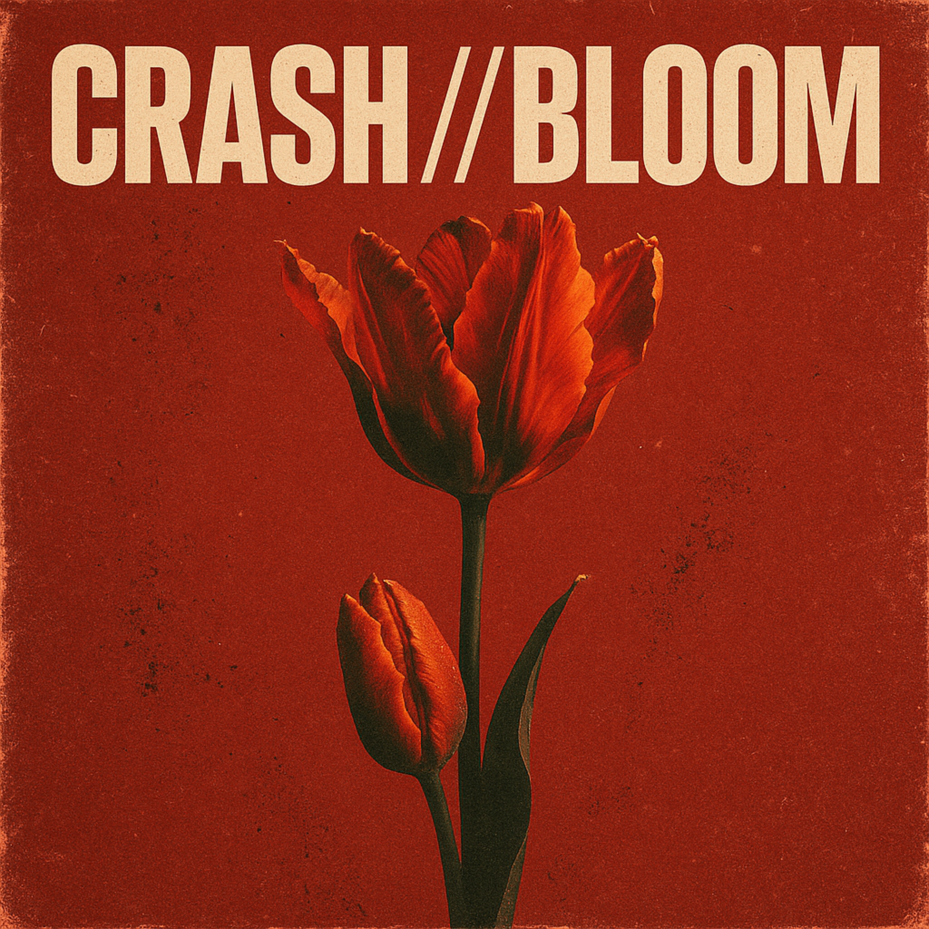 CRASH//BLOOM artwork