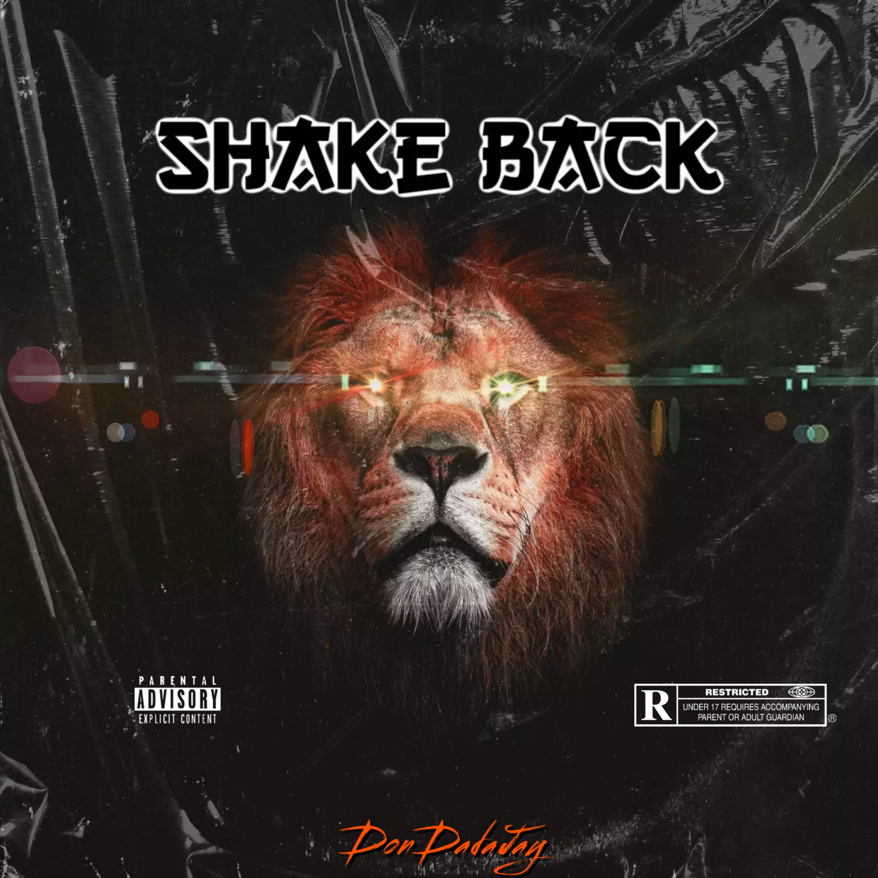 Shake Back artwork