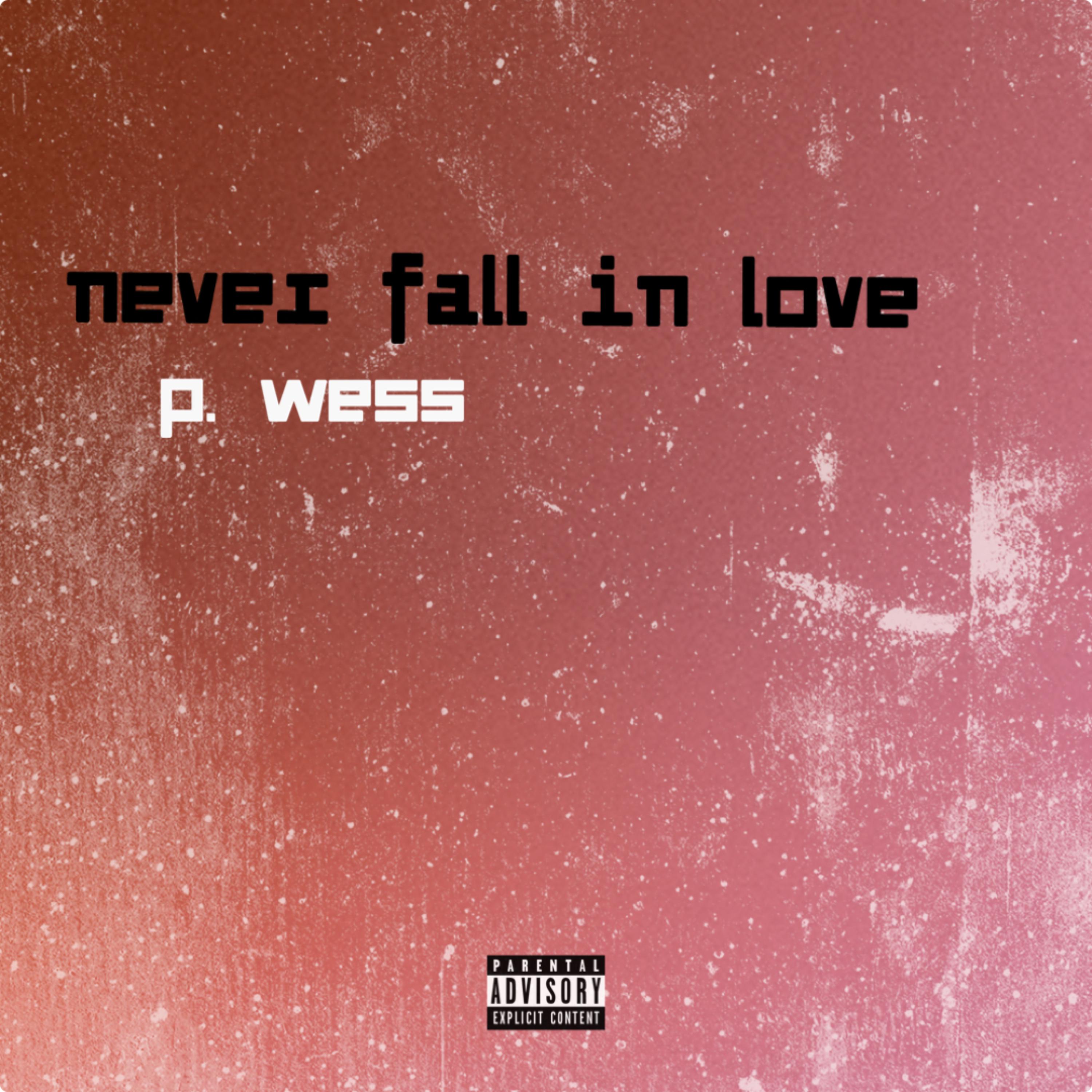 Never Fall In Love artwork