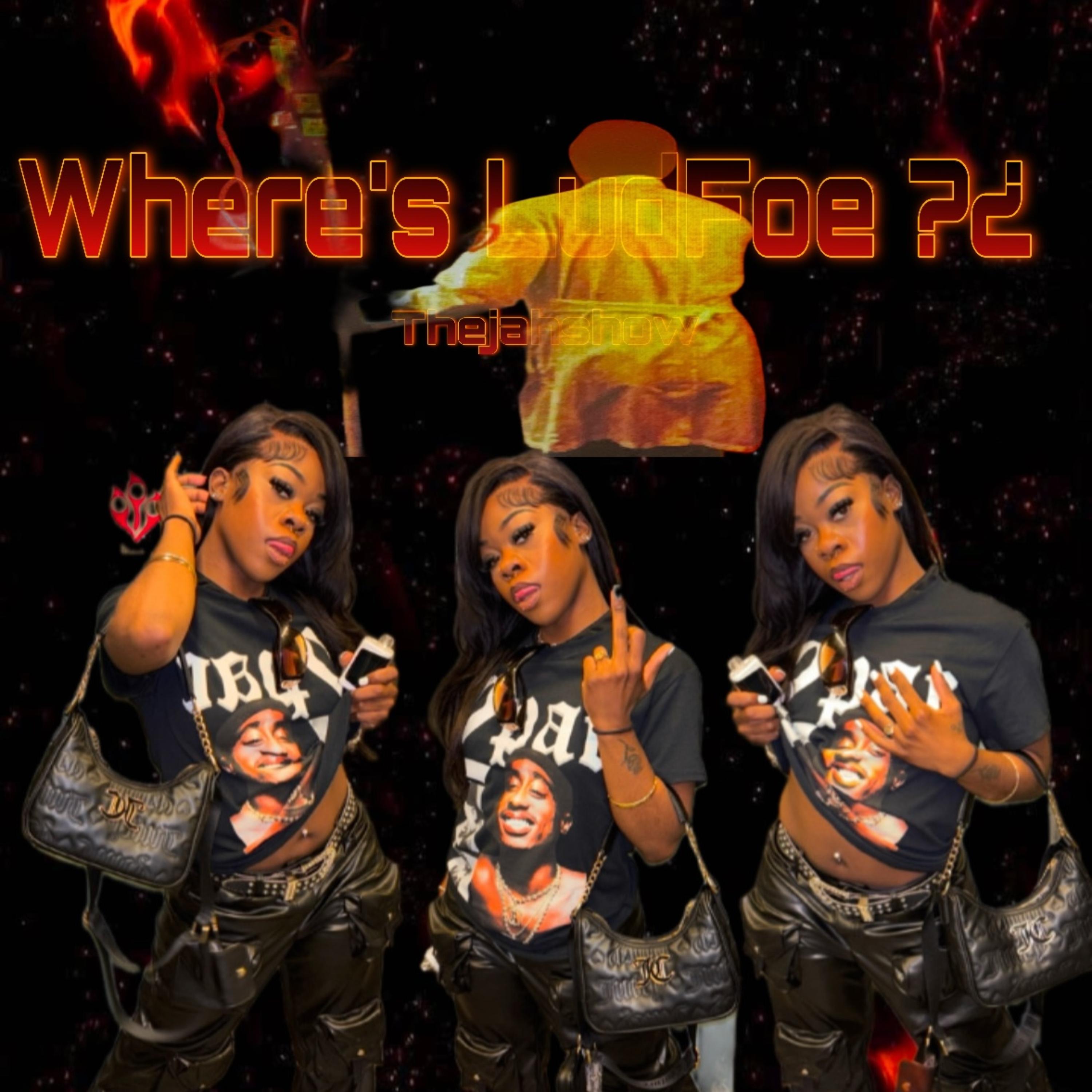 Where’s LudFoe?¿ artwork