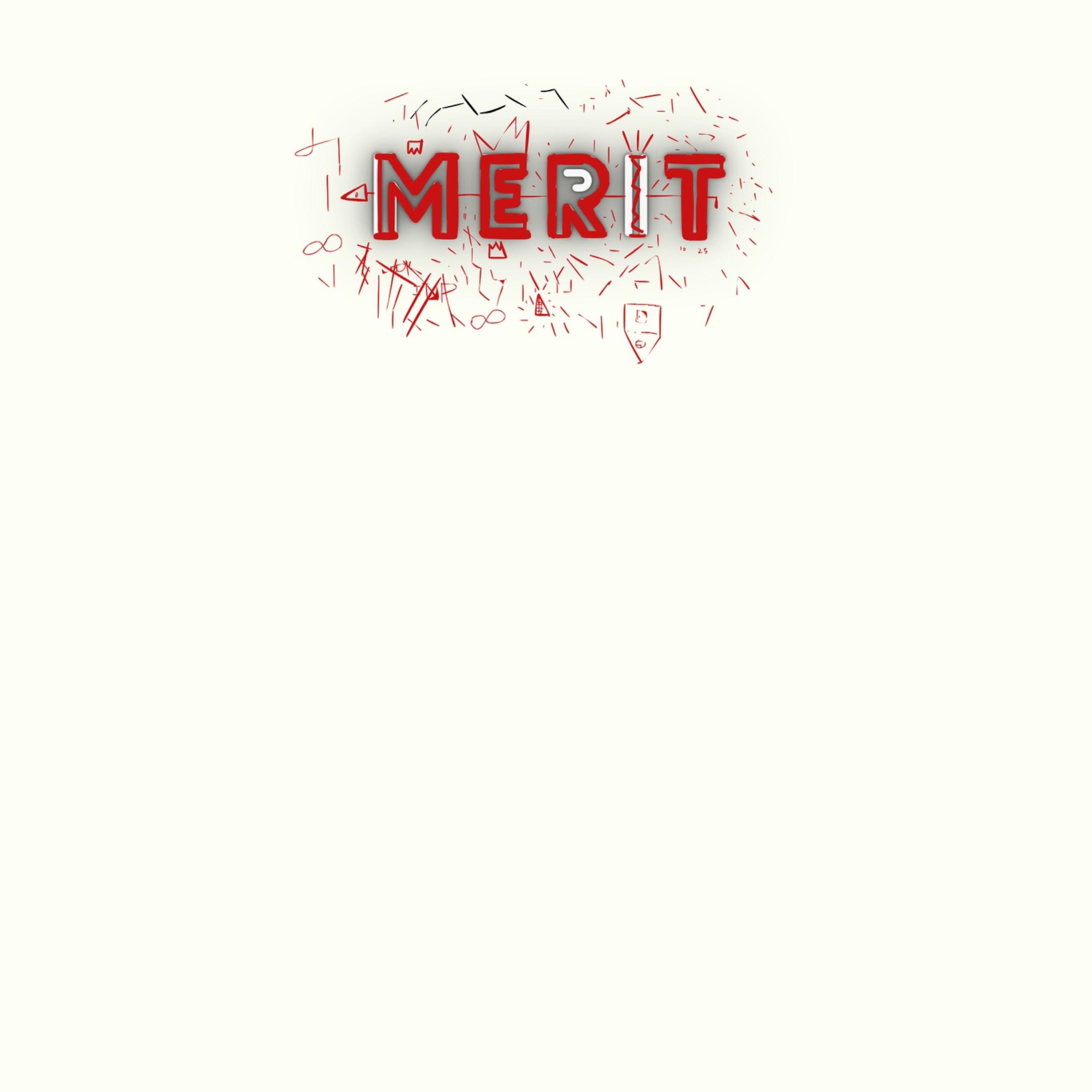 MERIT artwork