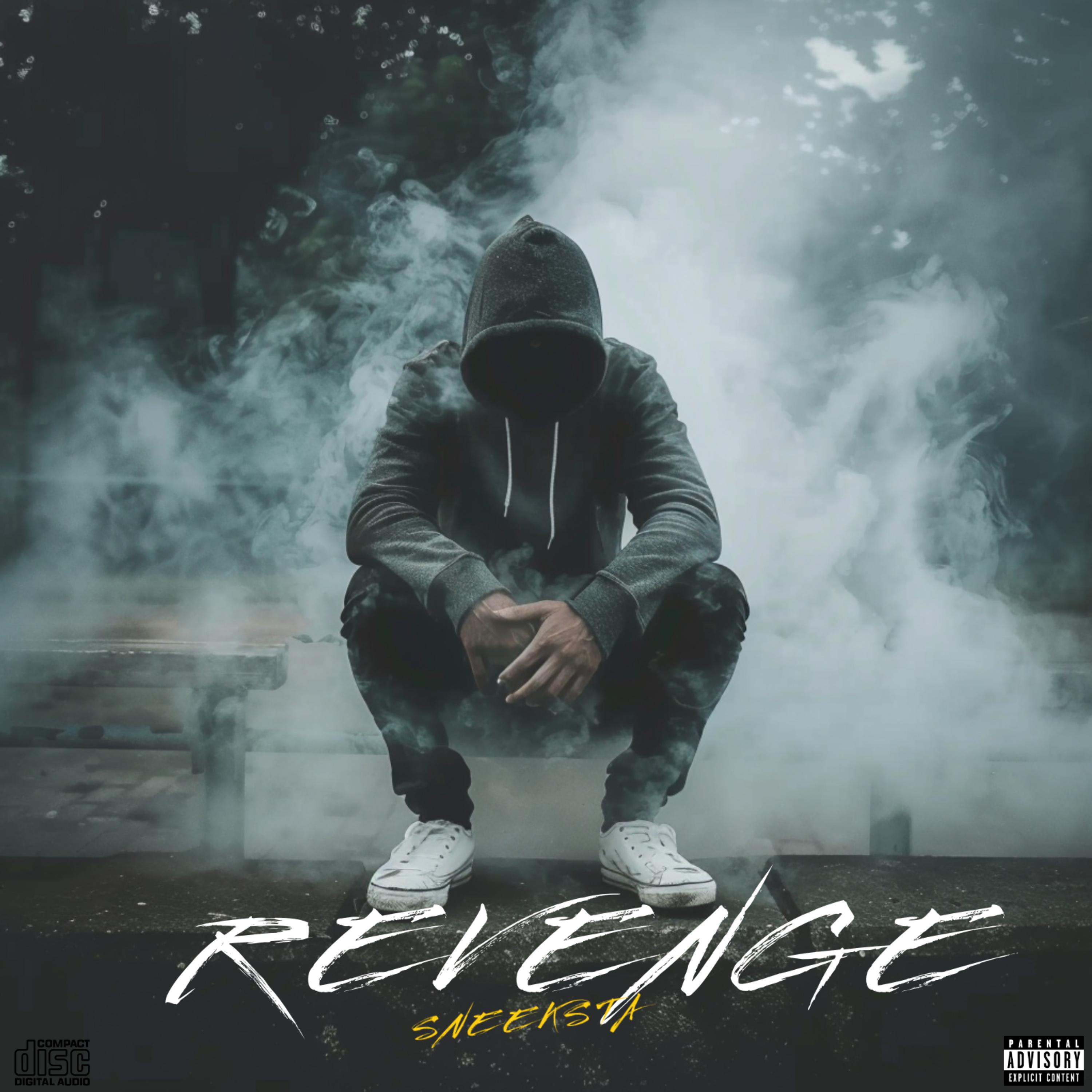 REVENGE artwork