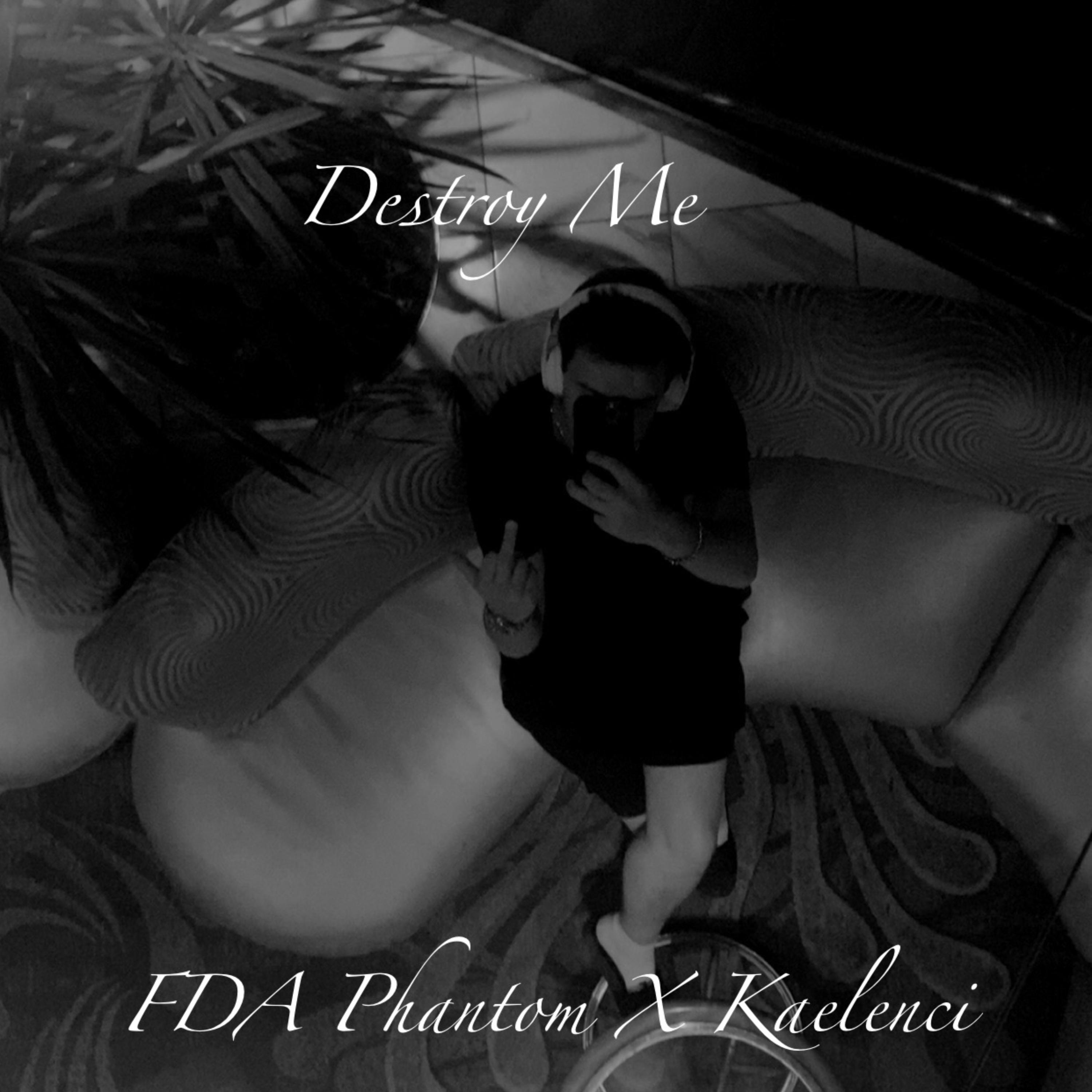 Destroy Me artwork