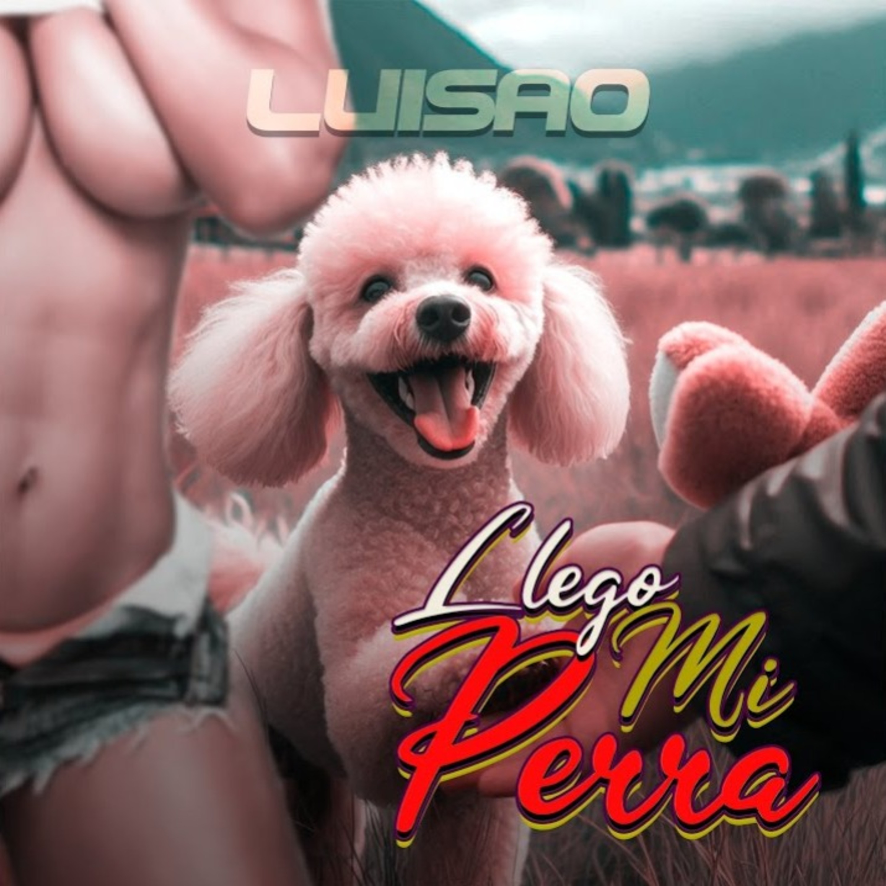 Llego Mi Perra artwork