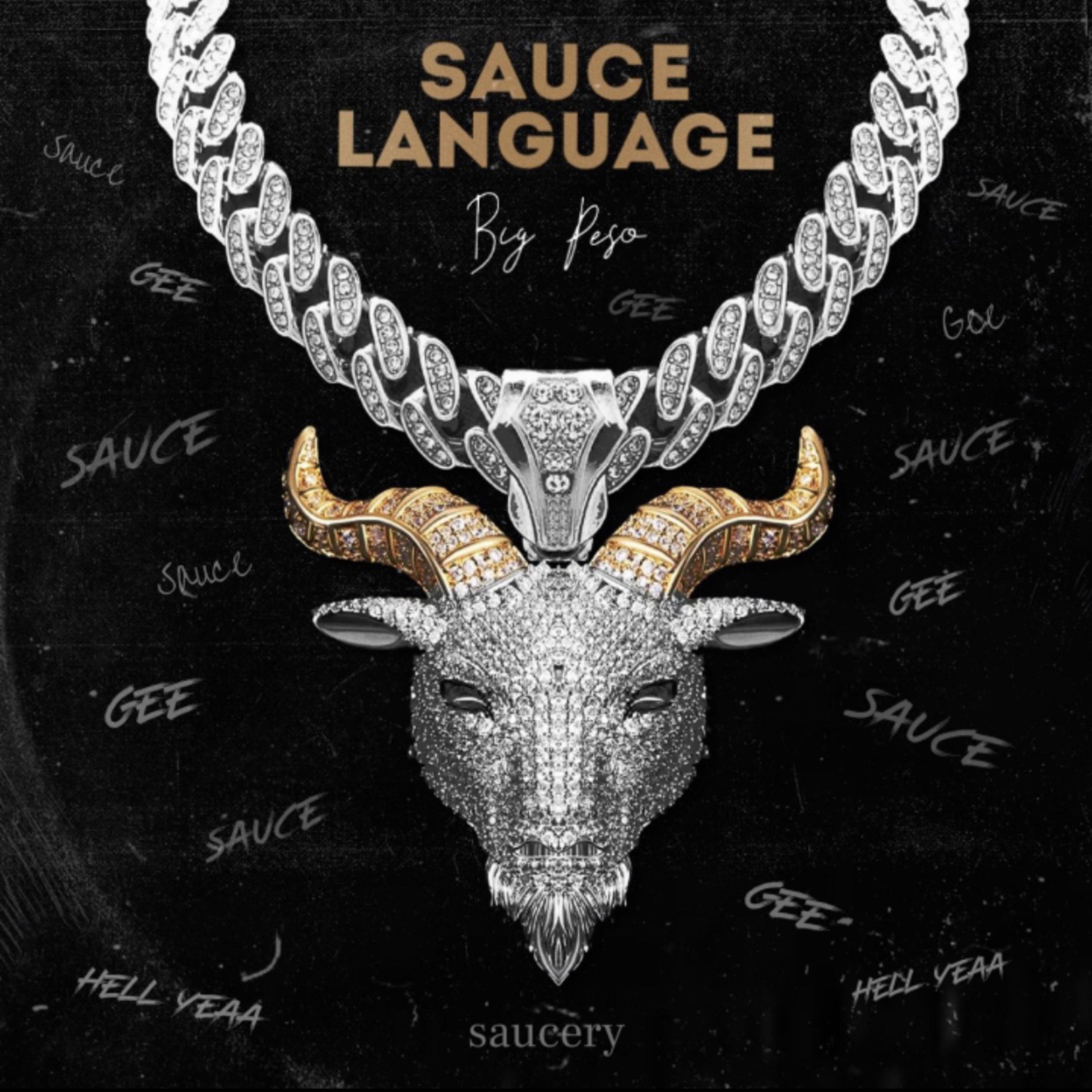 Sauce Language artwork