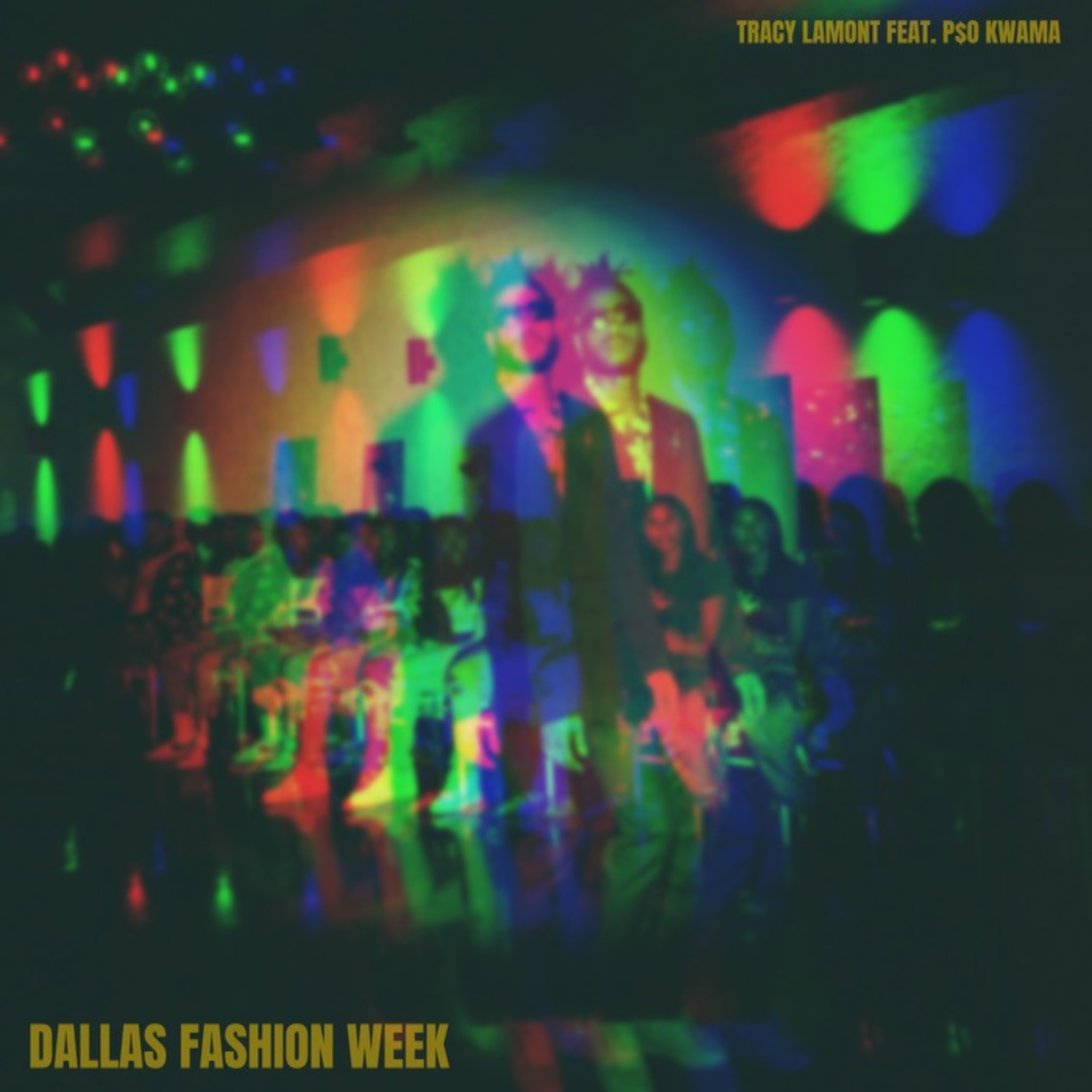 Dallas Fashion Week artwork