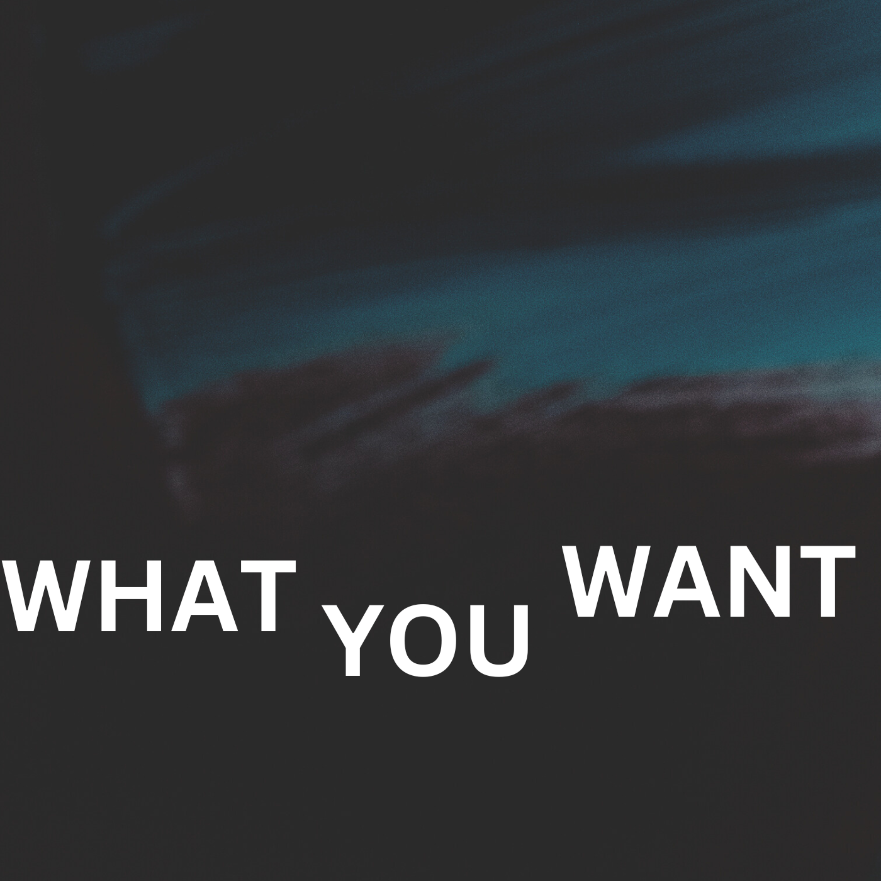 WHAT YOU WANT artwork