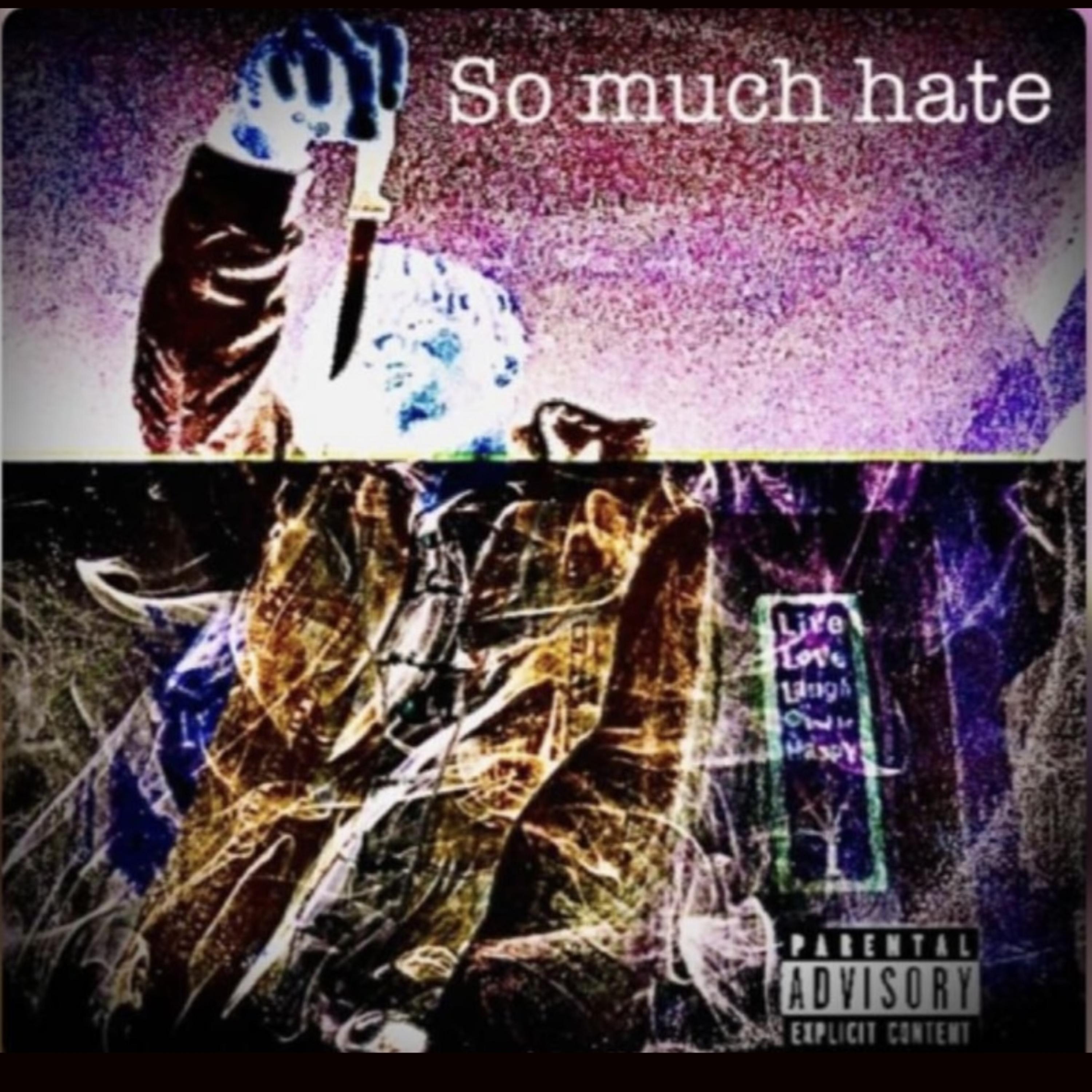 So much hate artwork