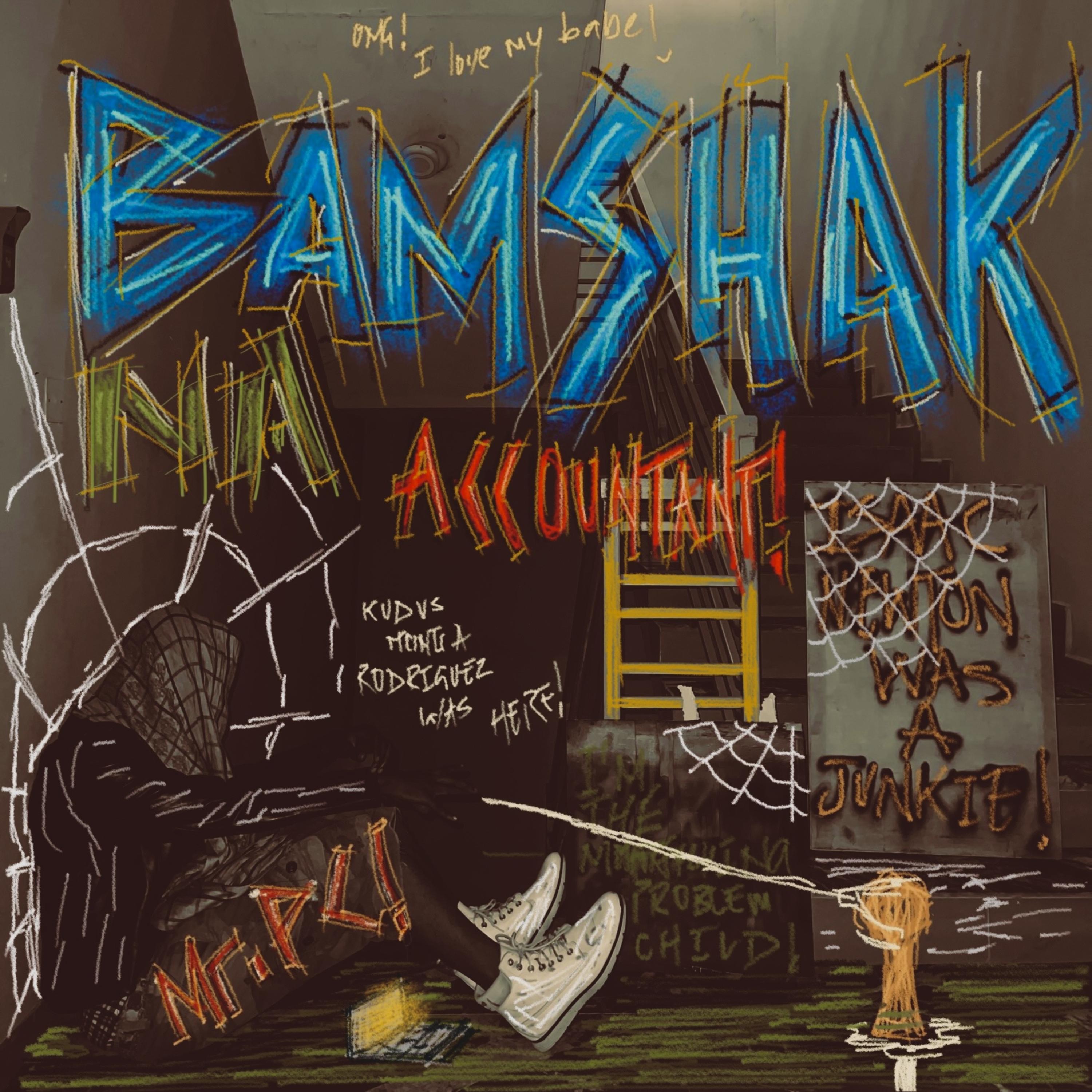 Bamshak Na Accountant! by Mr.PC! cover art