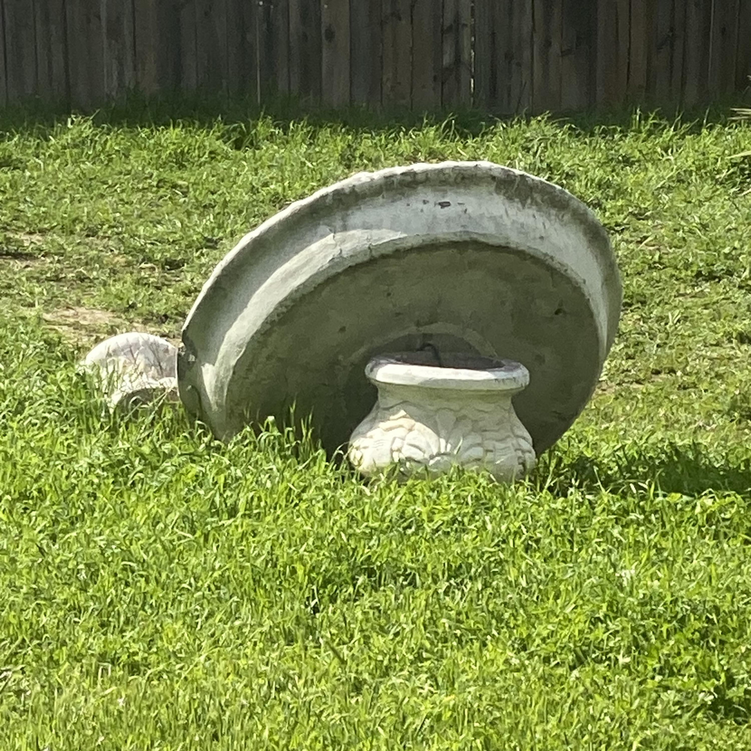 GREEN artwork