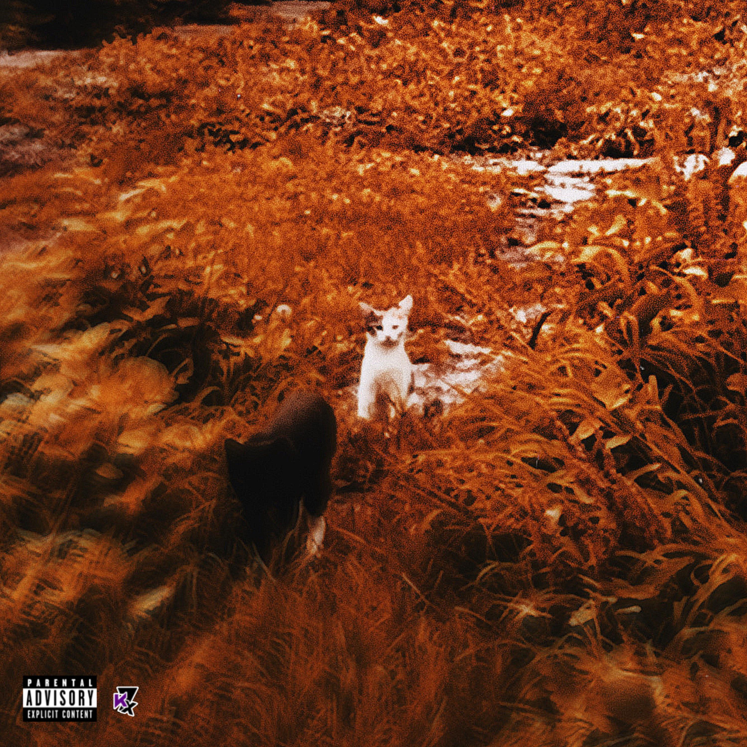 Rolling Deep by Kamx7 cover art