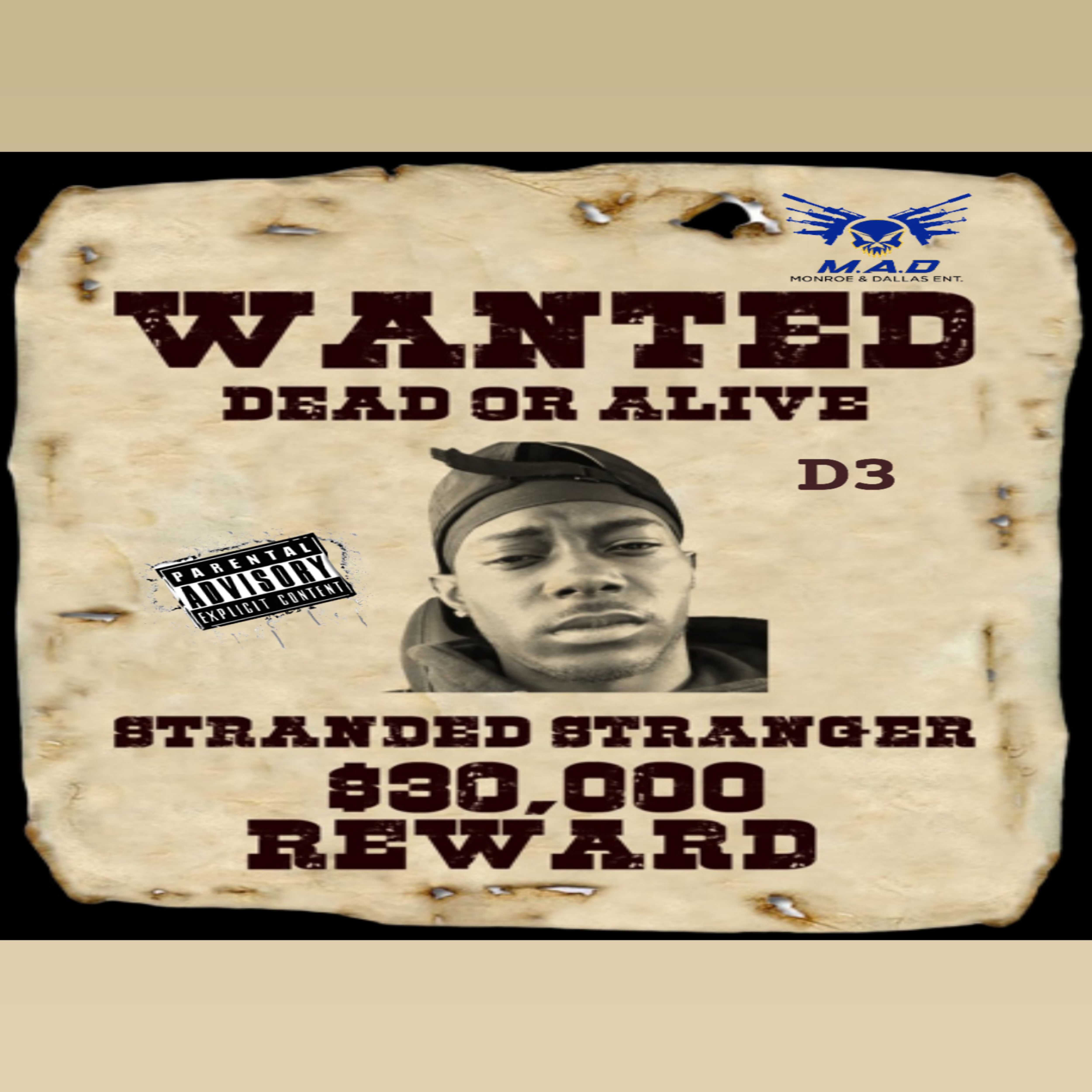 Stranded Stranger artwork