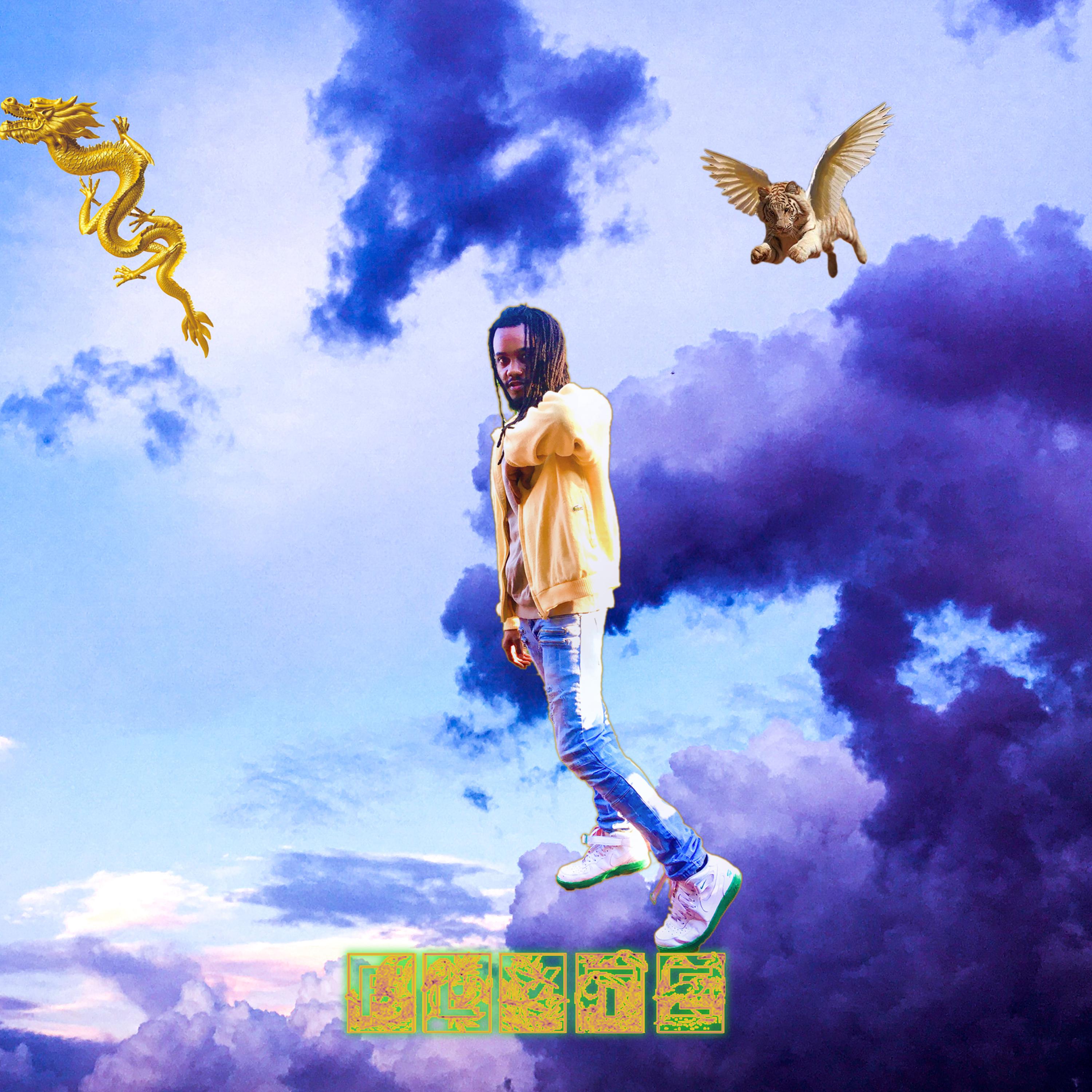 Flyte artwork
