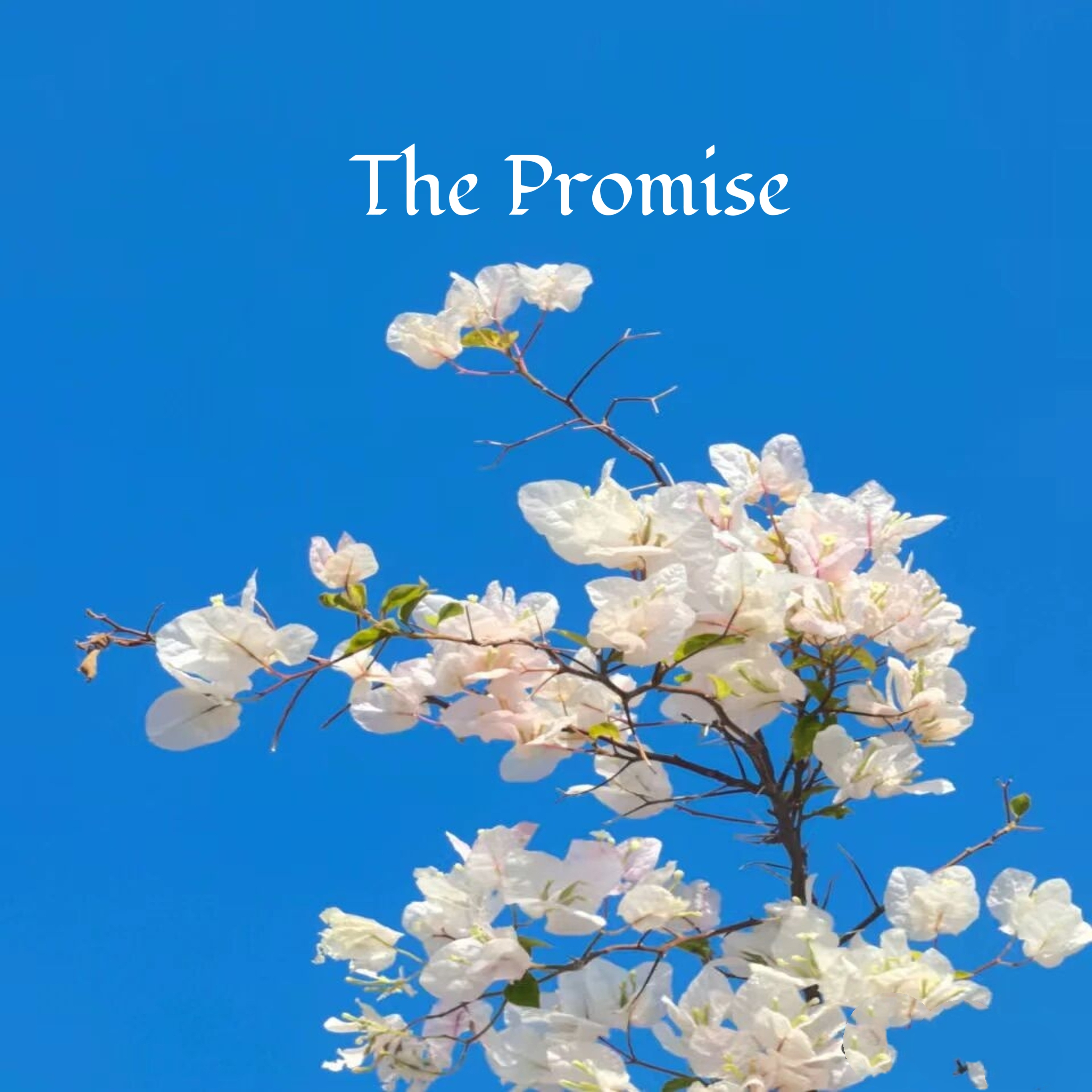 The Promise artwork