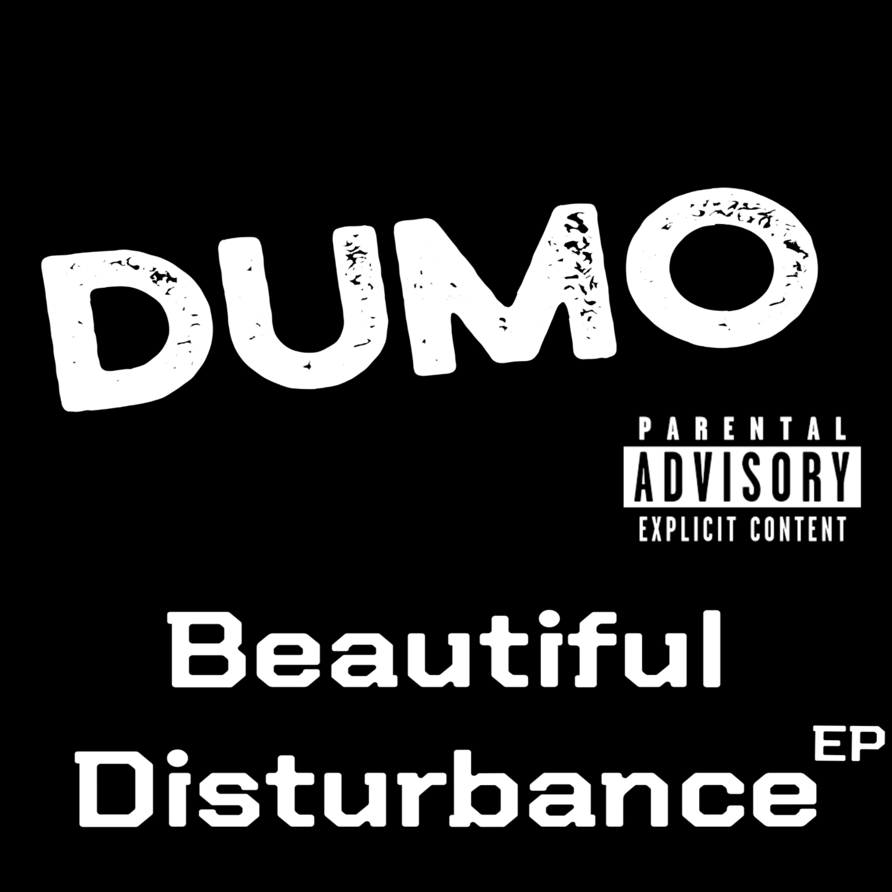 Beautiful Disturbance artwork