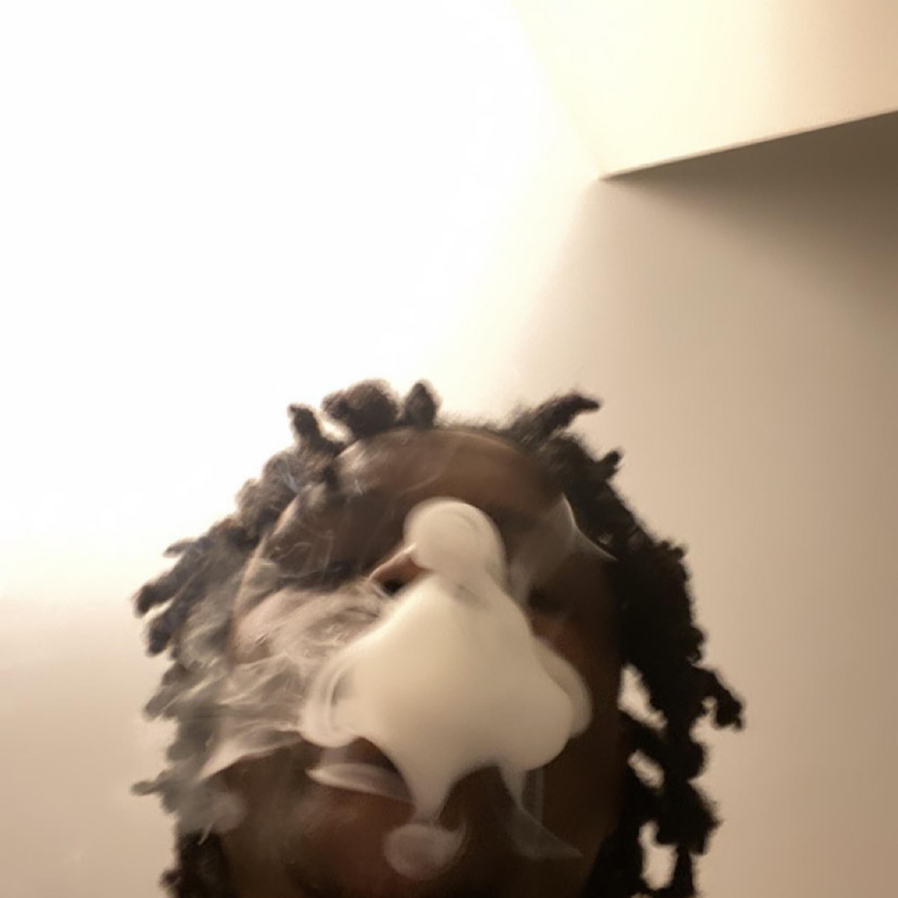 100 artwork