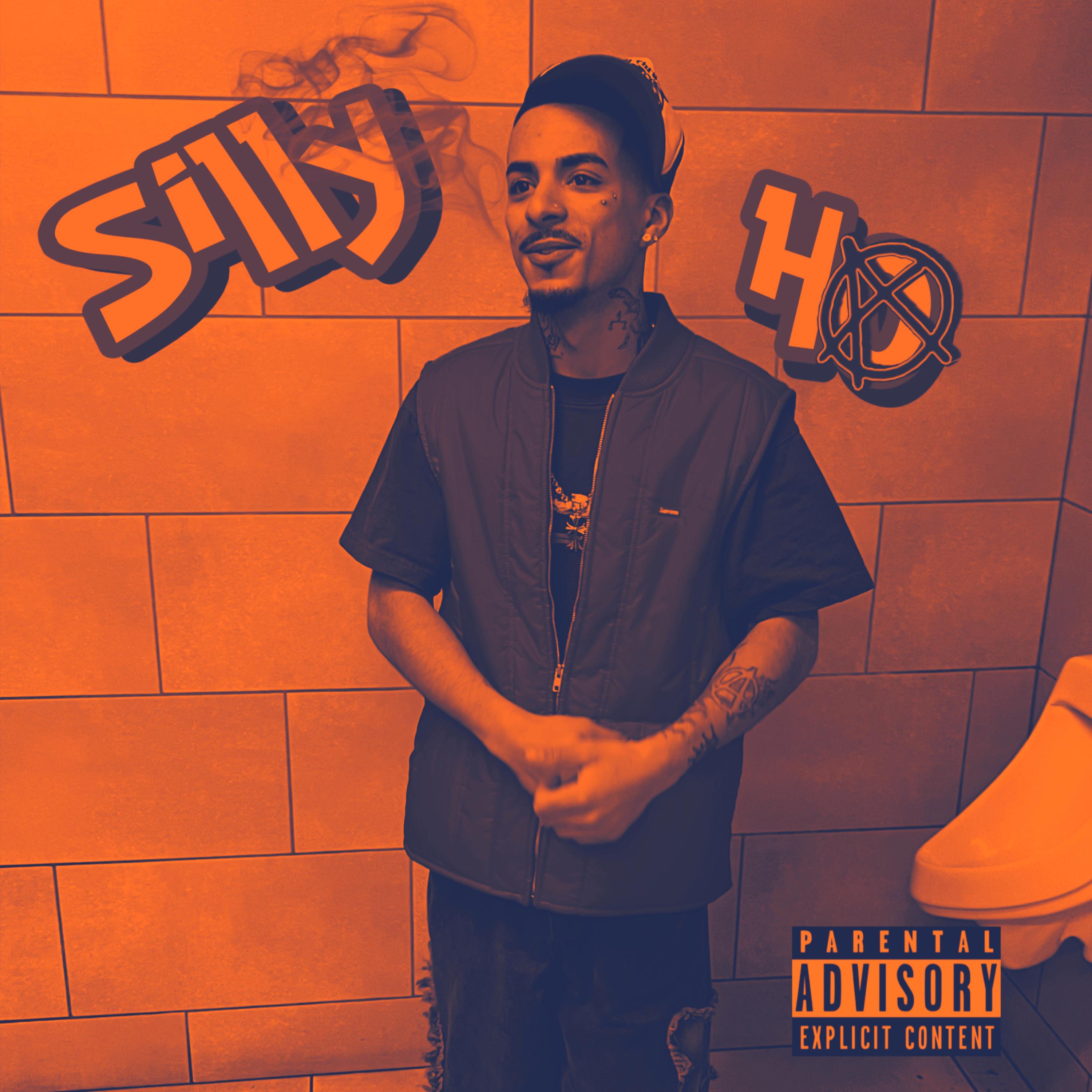 SILLY HO artwork
