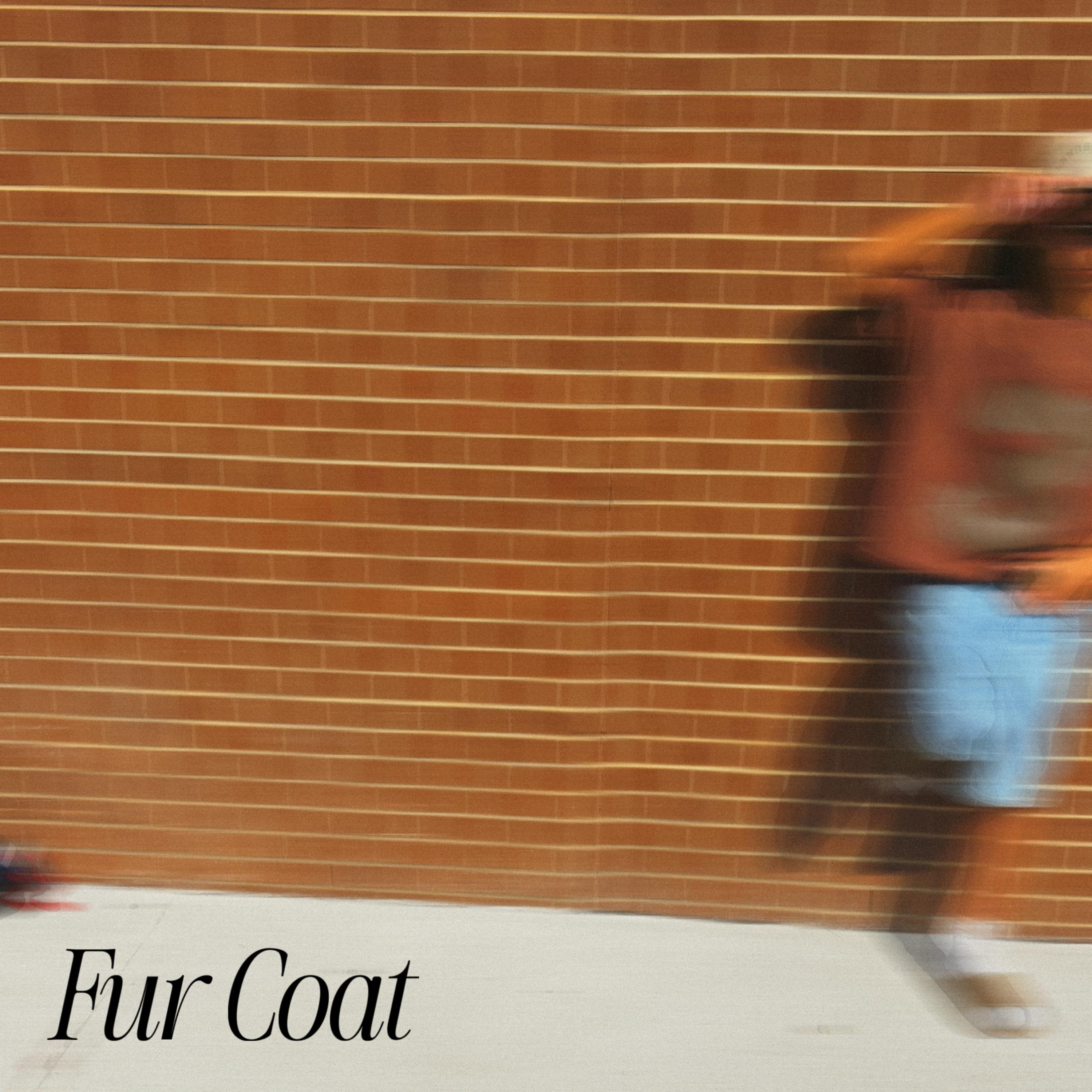 Fur Coat artwork