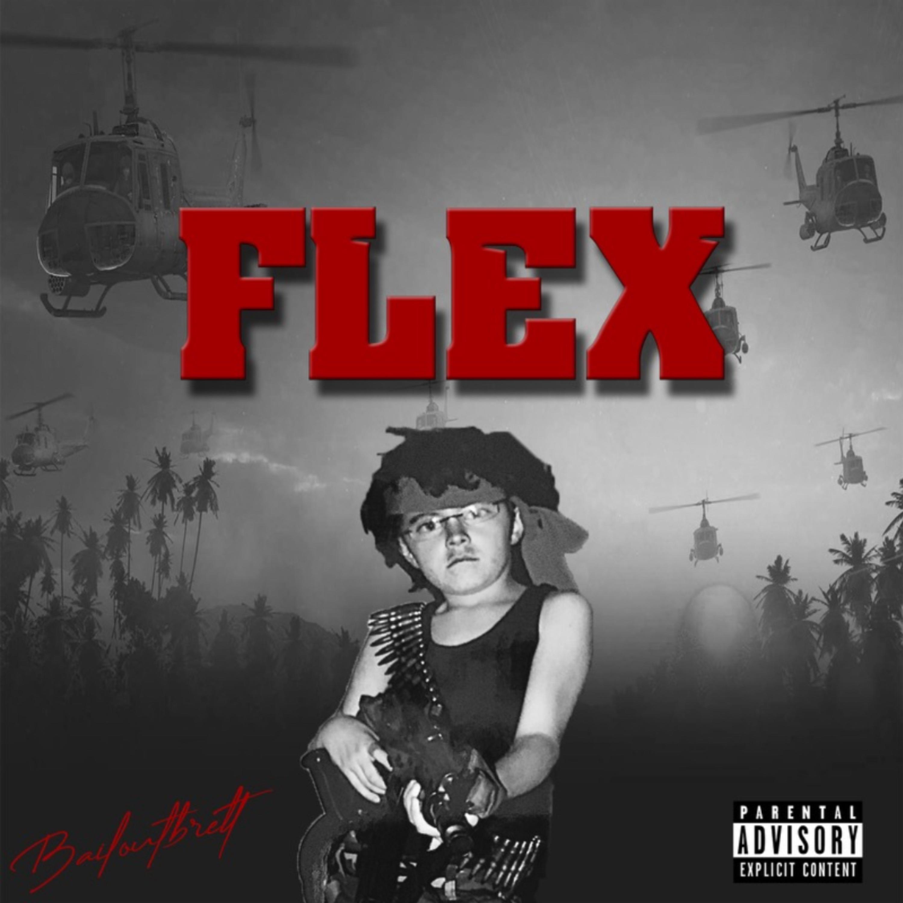 FLEX artwork