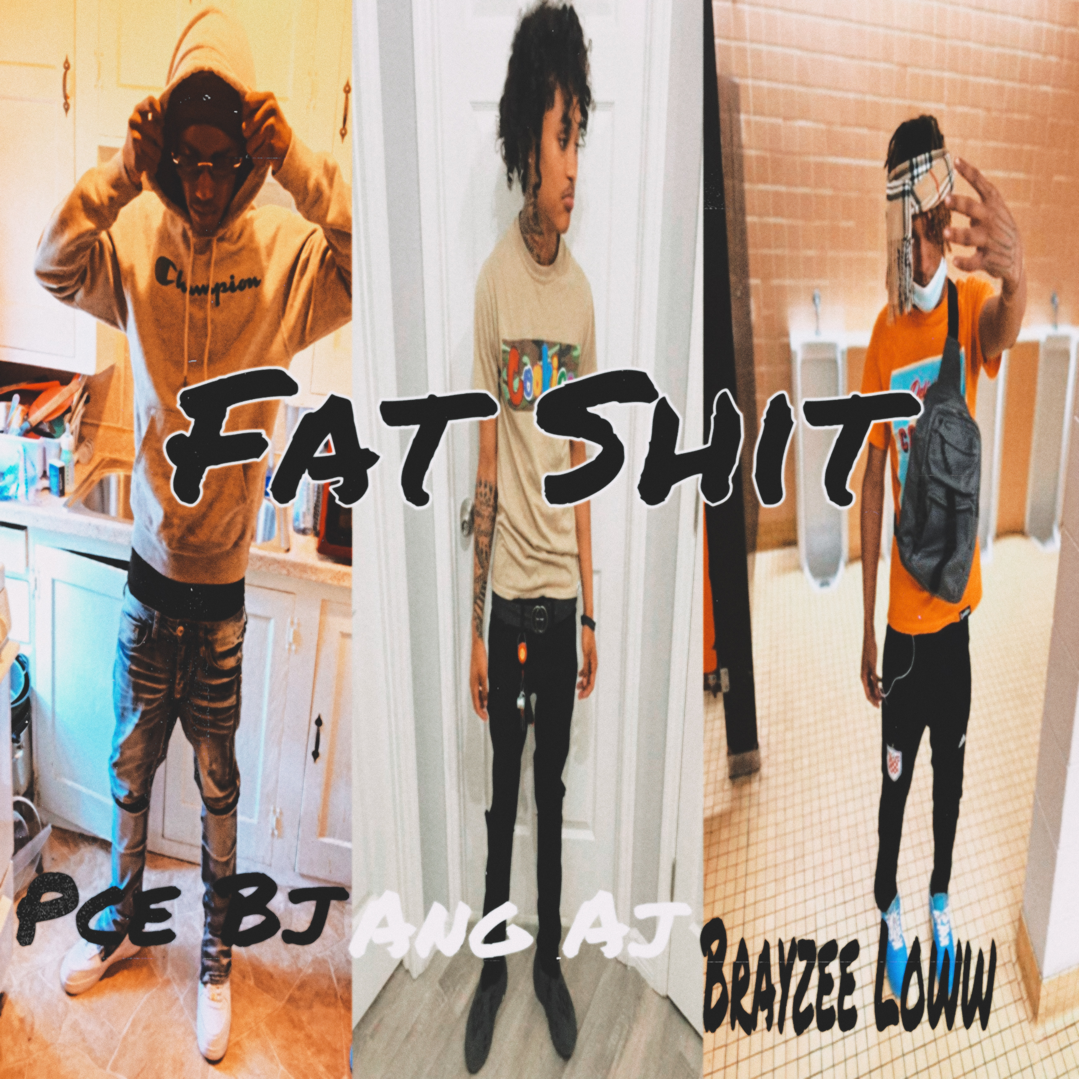 Fat Shit artwork