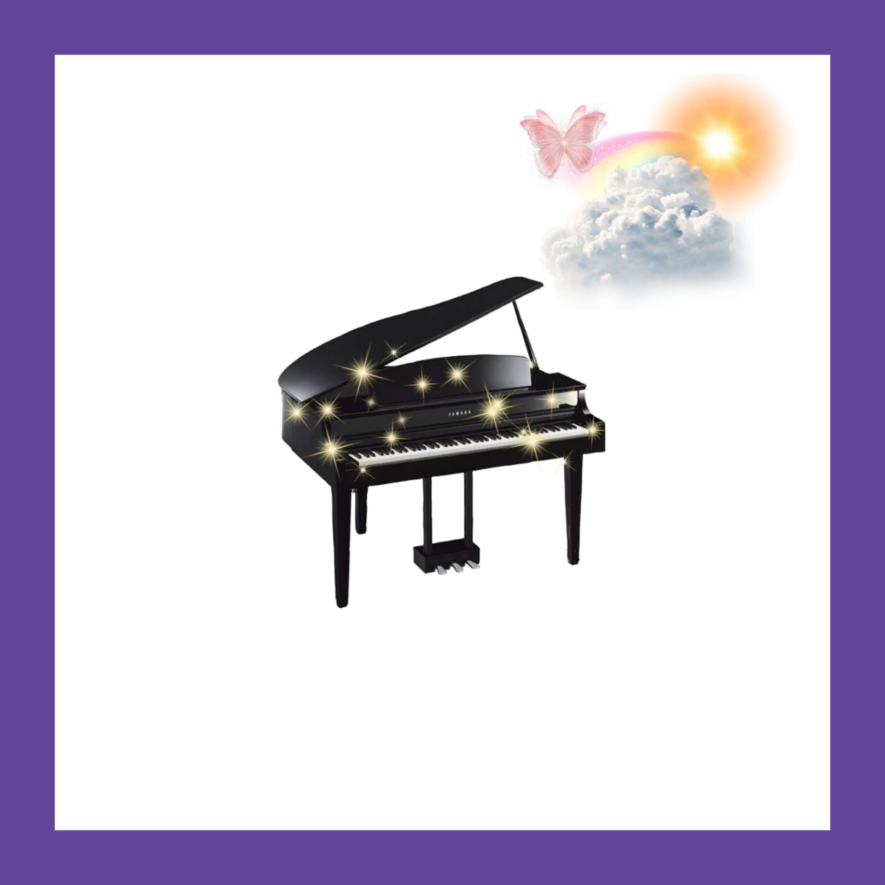 THE PRECIOUS RIDDLE ( PIANO EDITION ) artwork