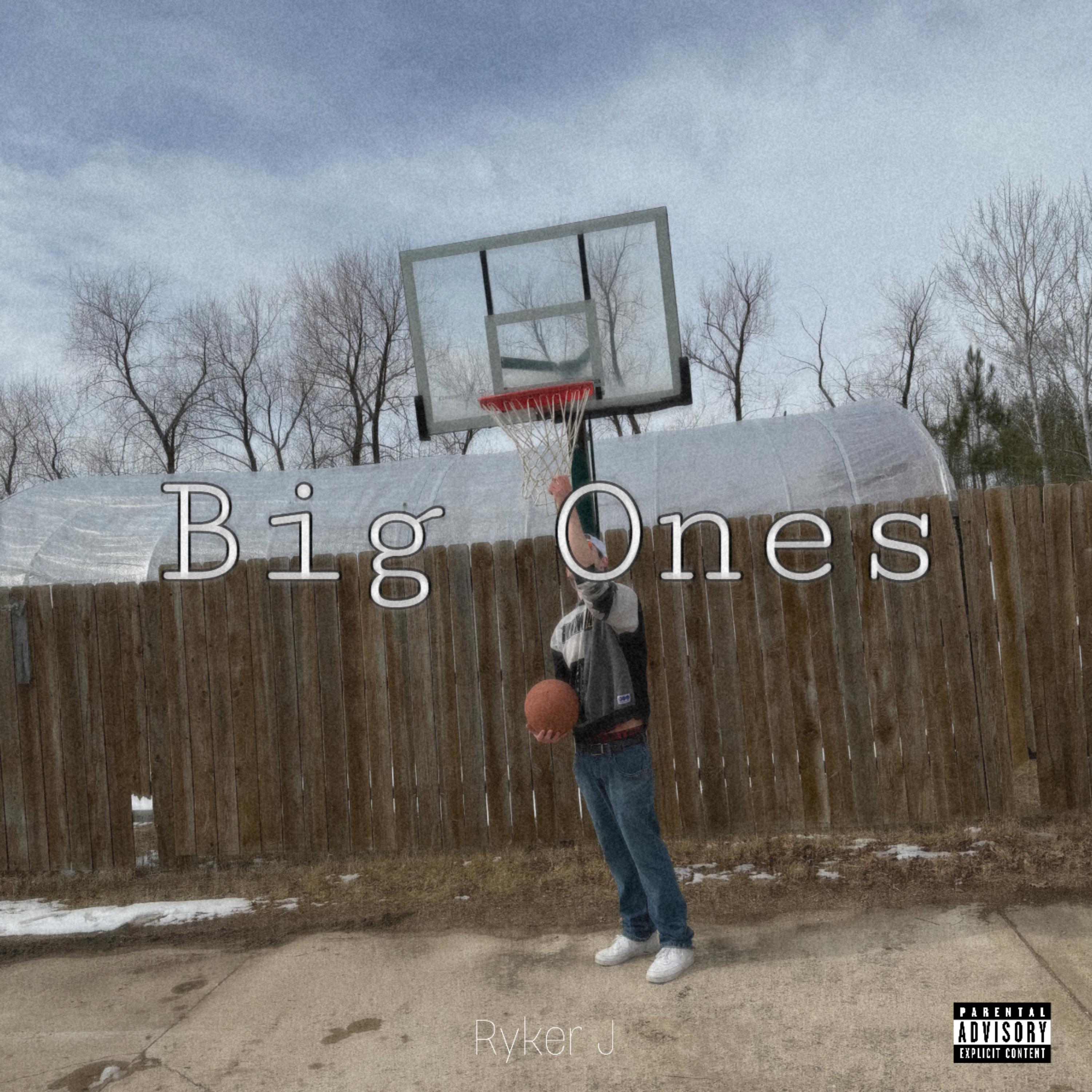 Big Ones artwork