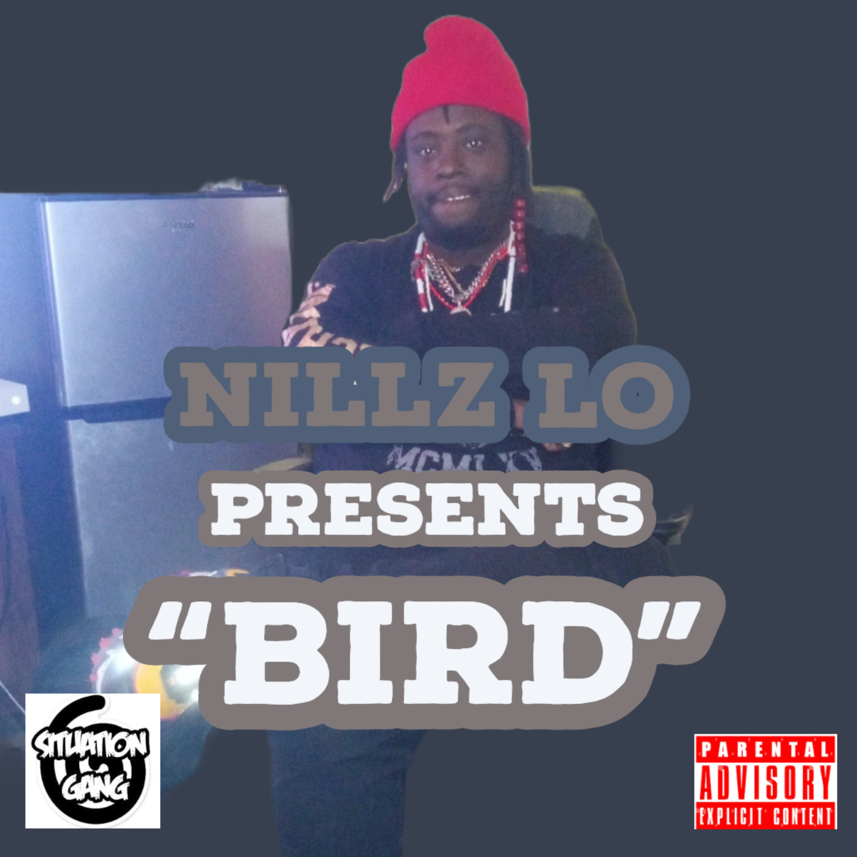 BIRD (B.I.P BUMBO) artwork
