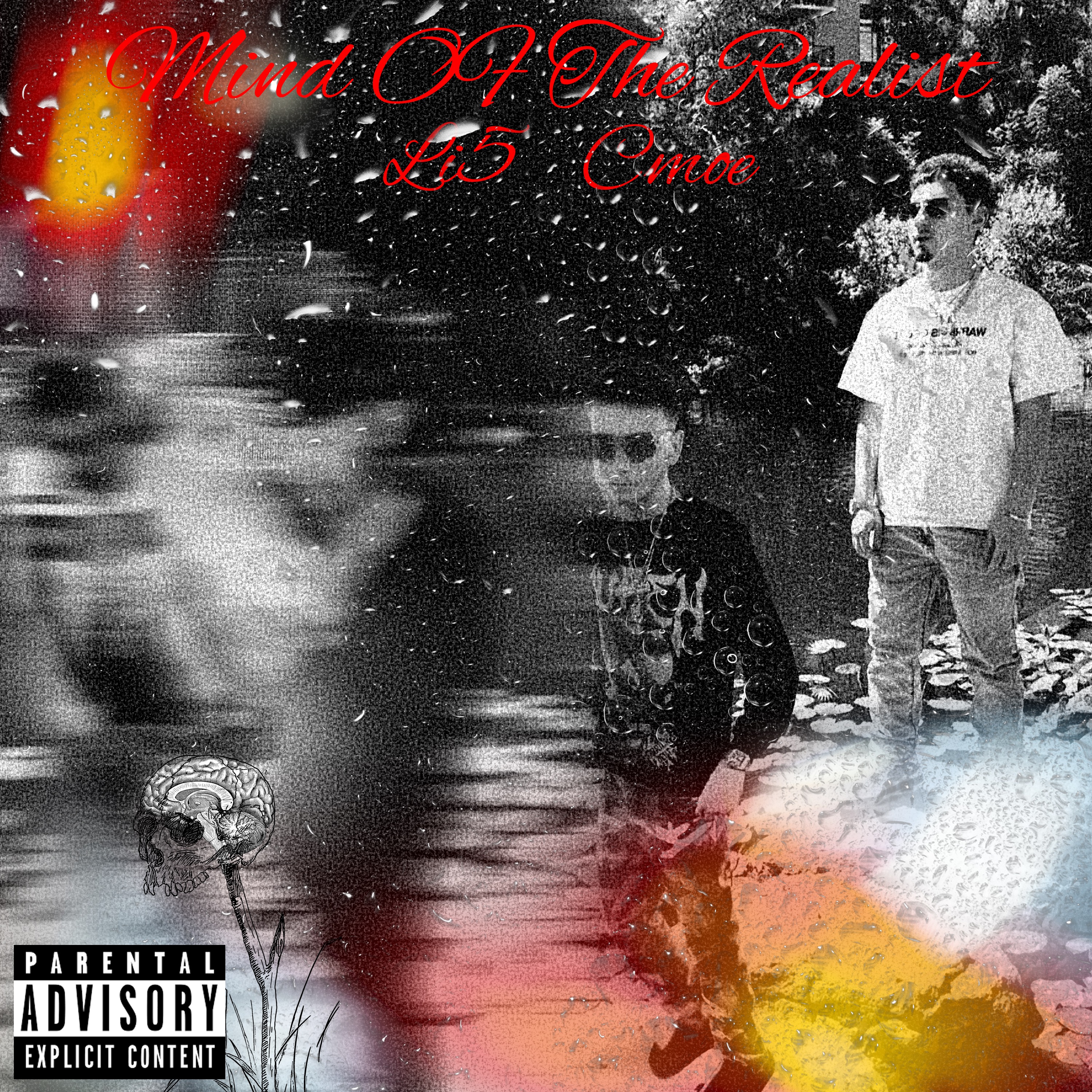 Mind Of The Realist artwork
