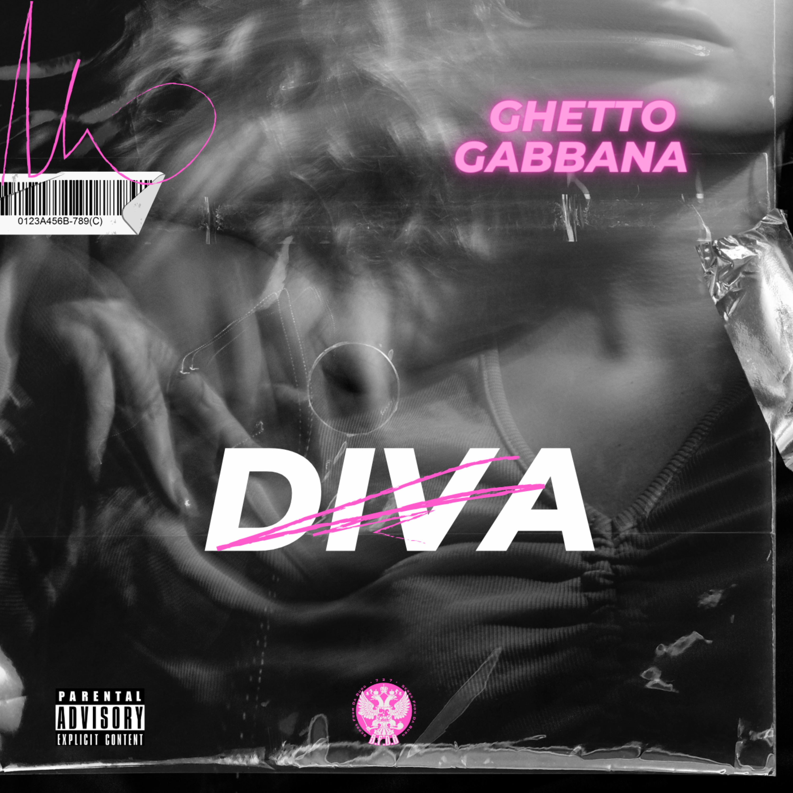DIVA artwork