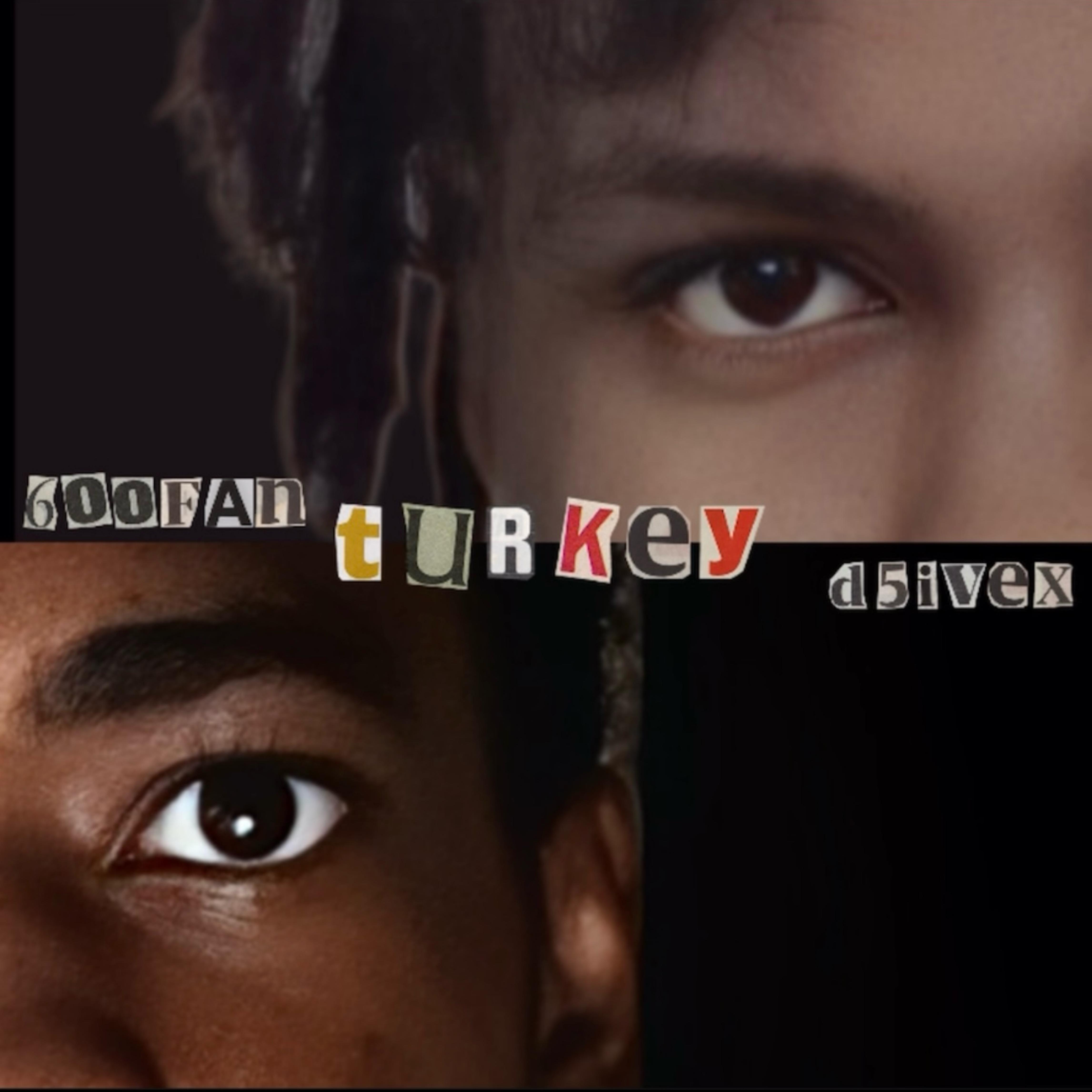 Turkeys artwork