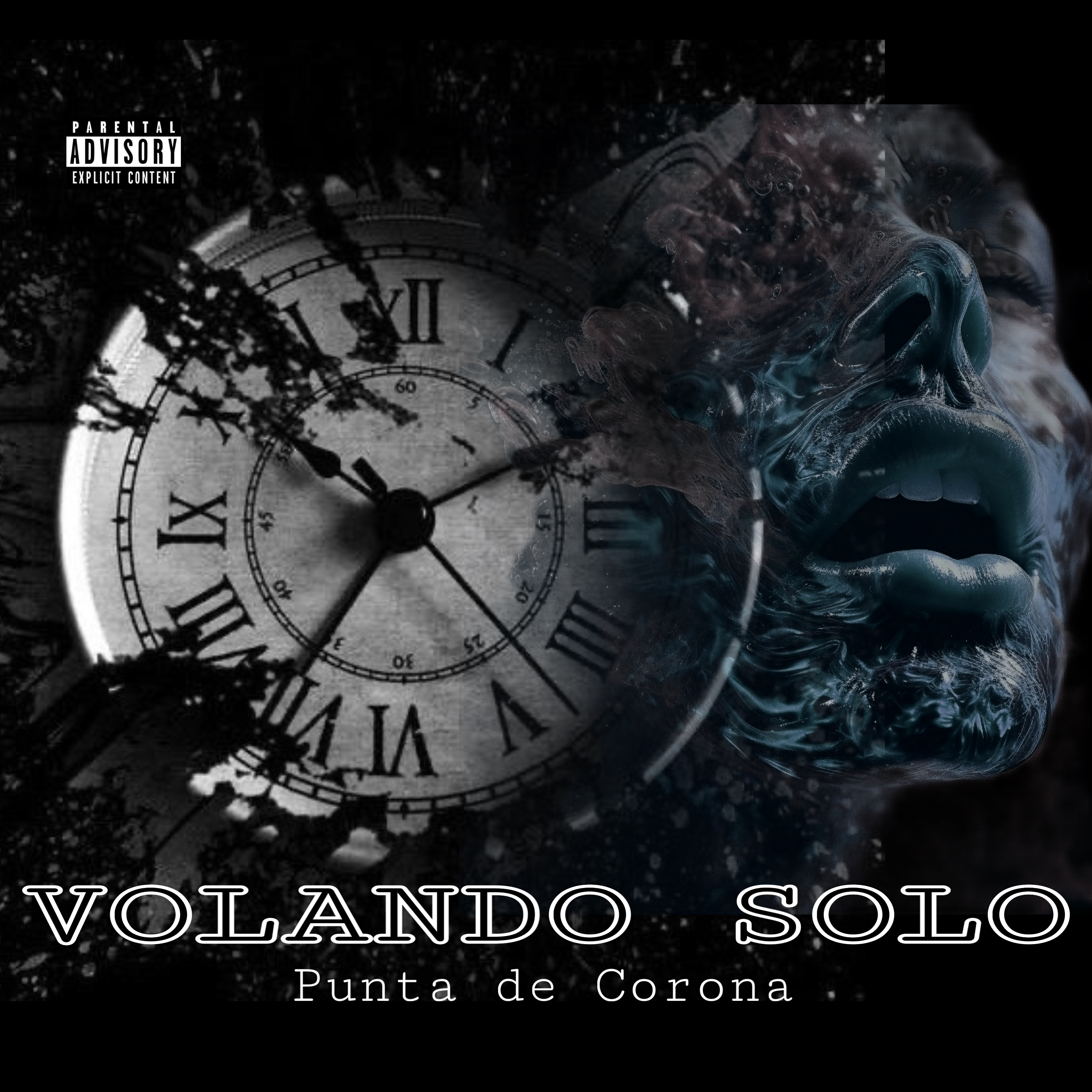 Volando Solo artwork