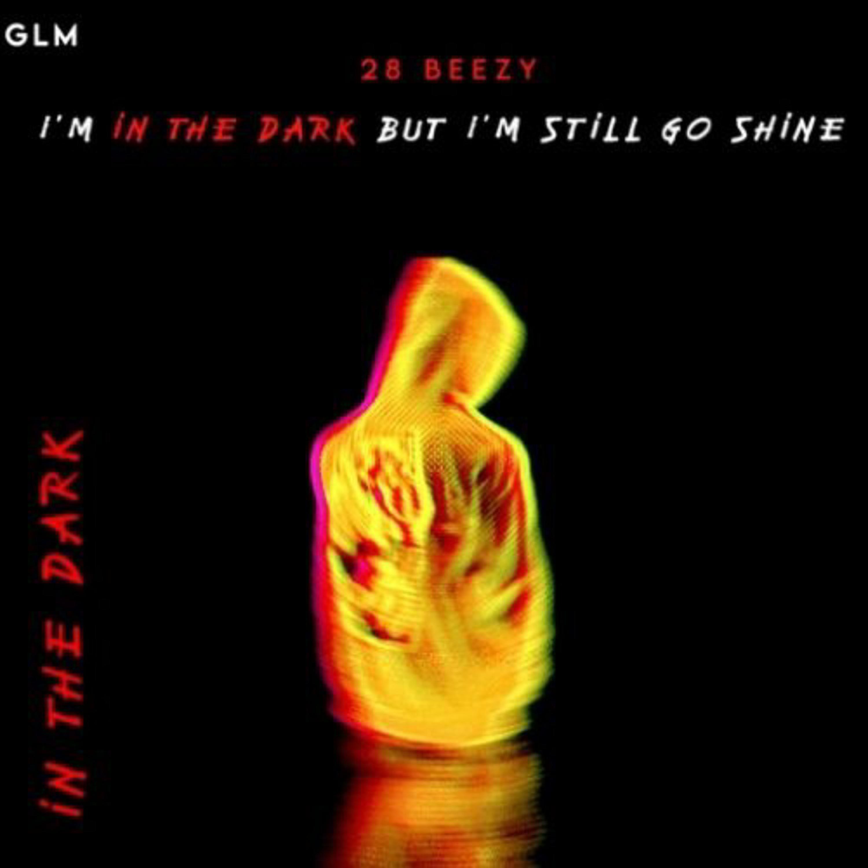 In The Dark  artwork