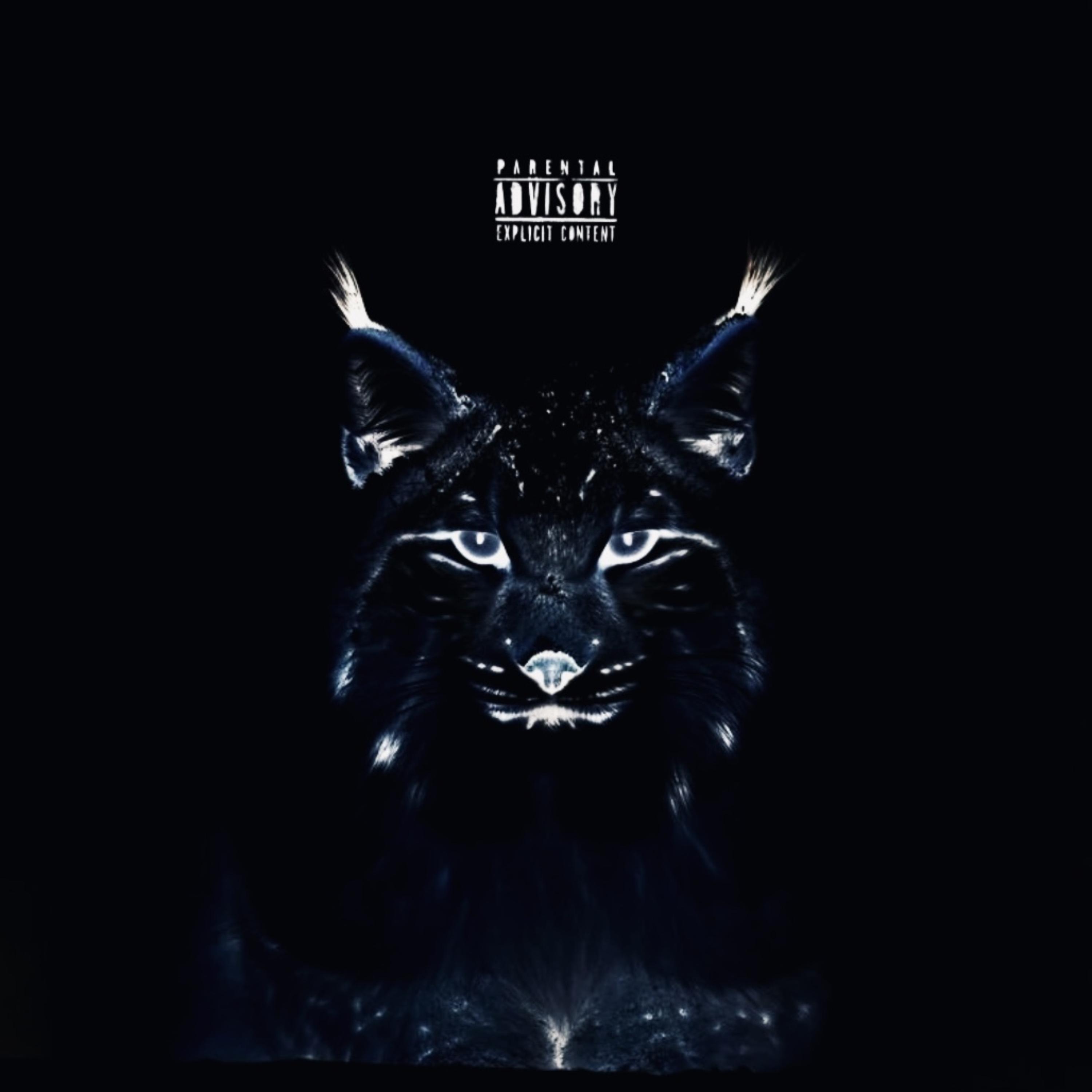 TALK artwork