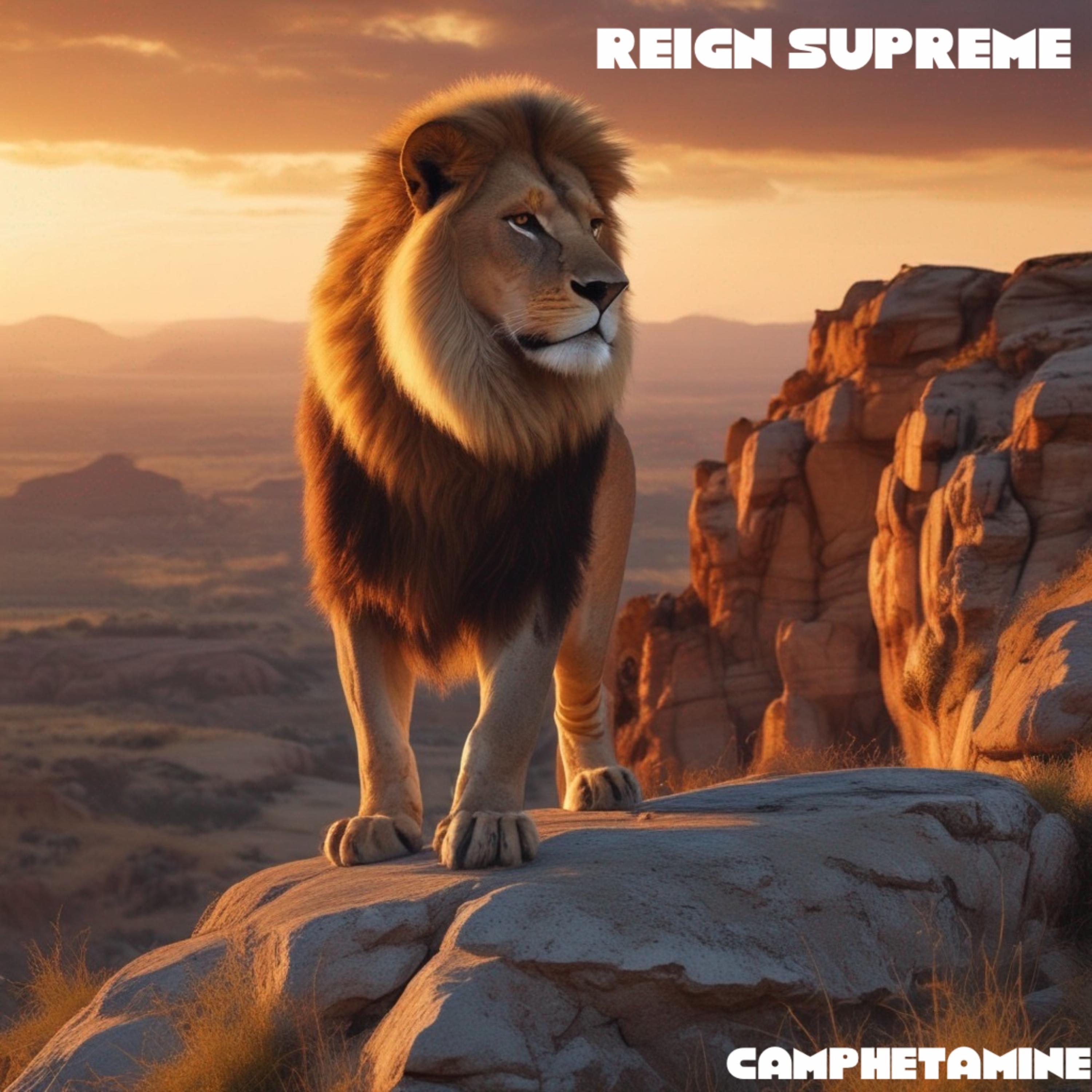 Reign Supreme artwork