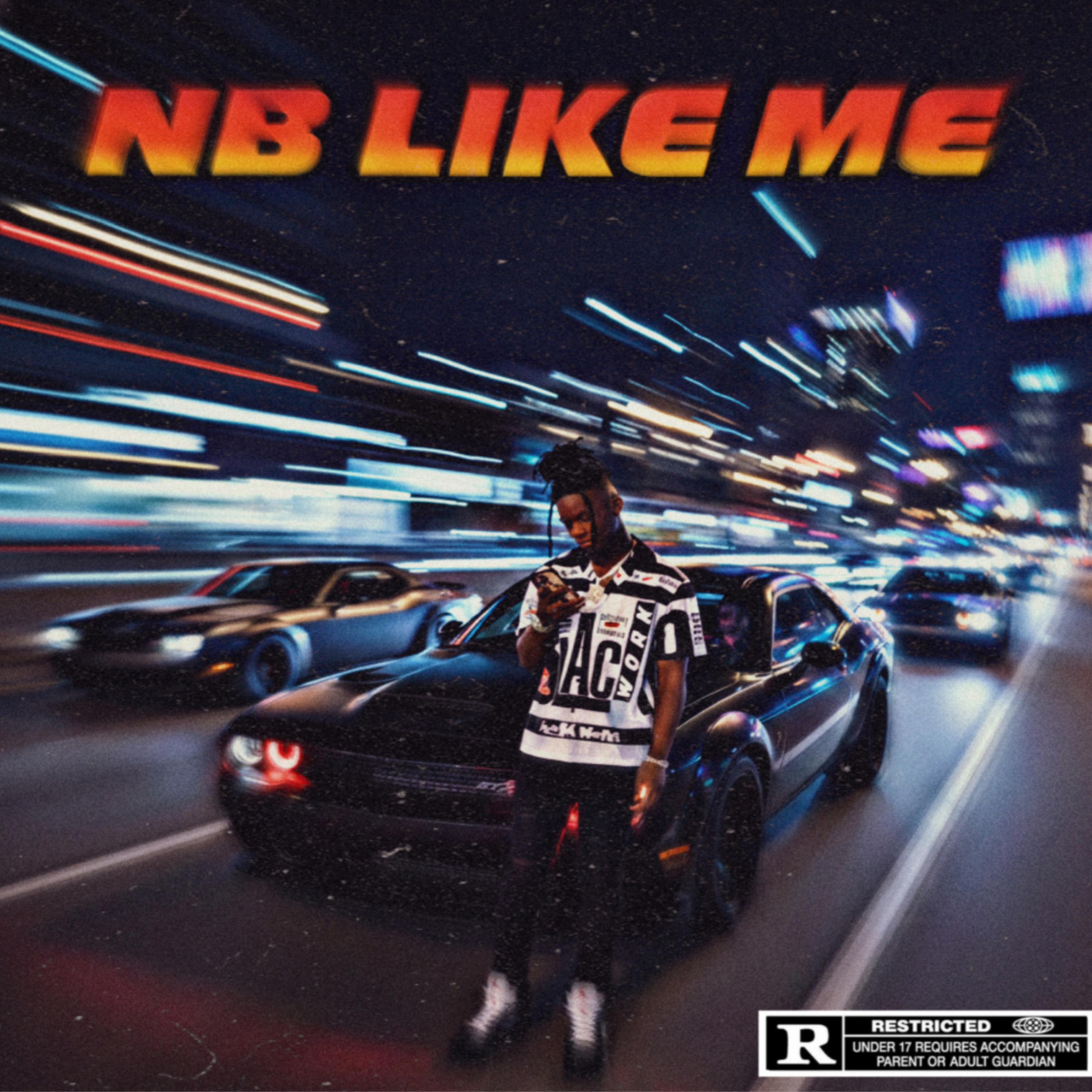 Nb Like Me artwork