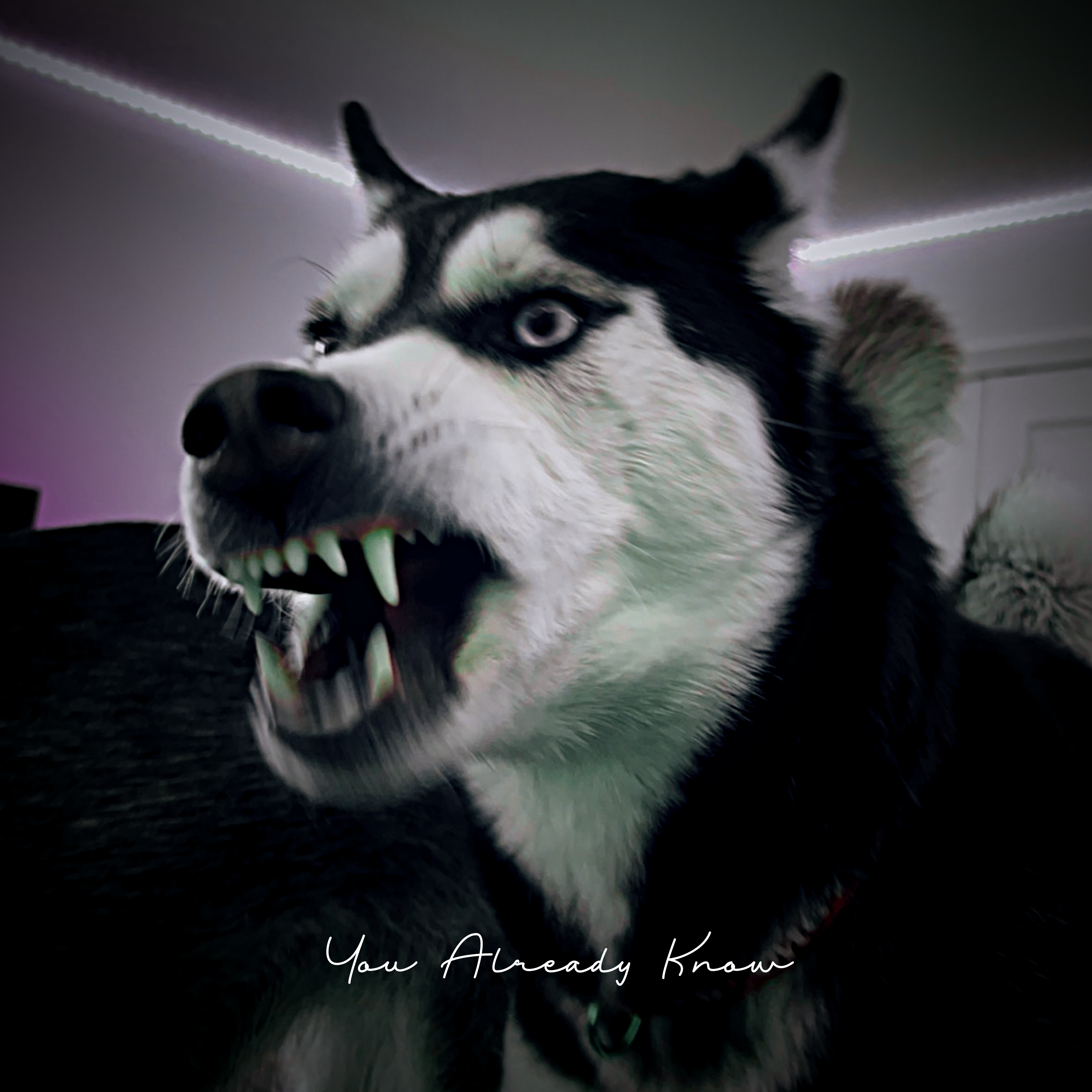 You Already Know artwork