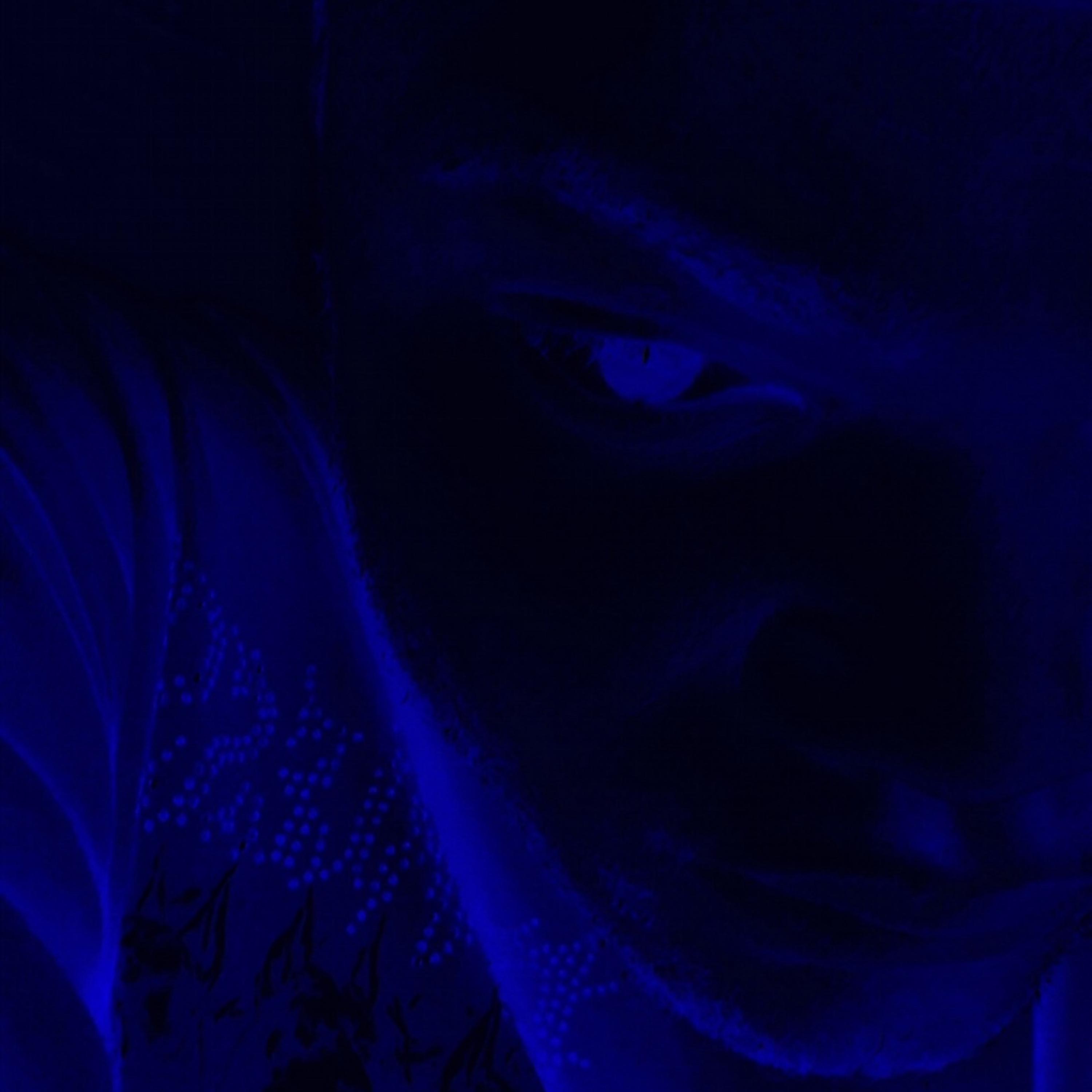 LOW ON LOVE by LVDRE REBORN cover art