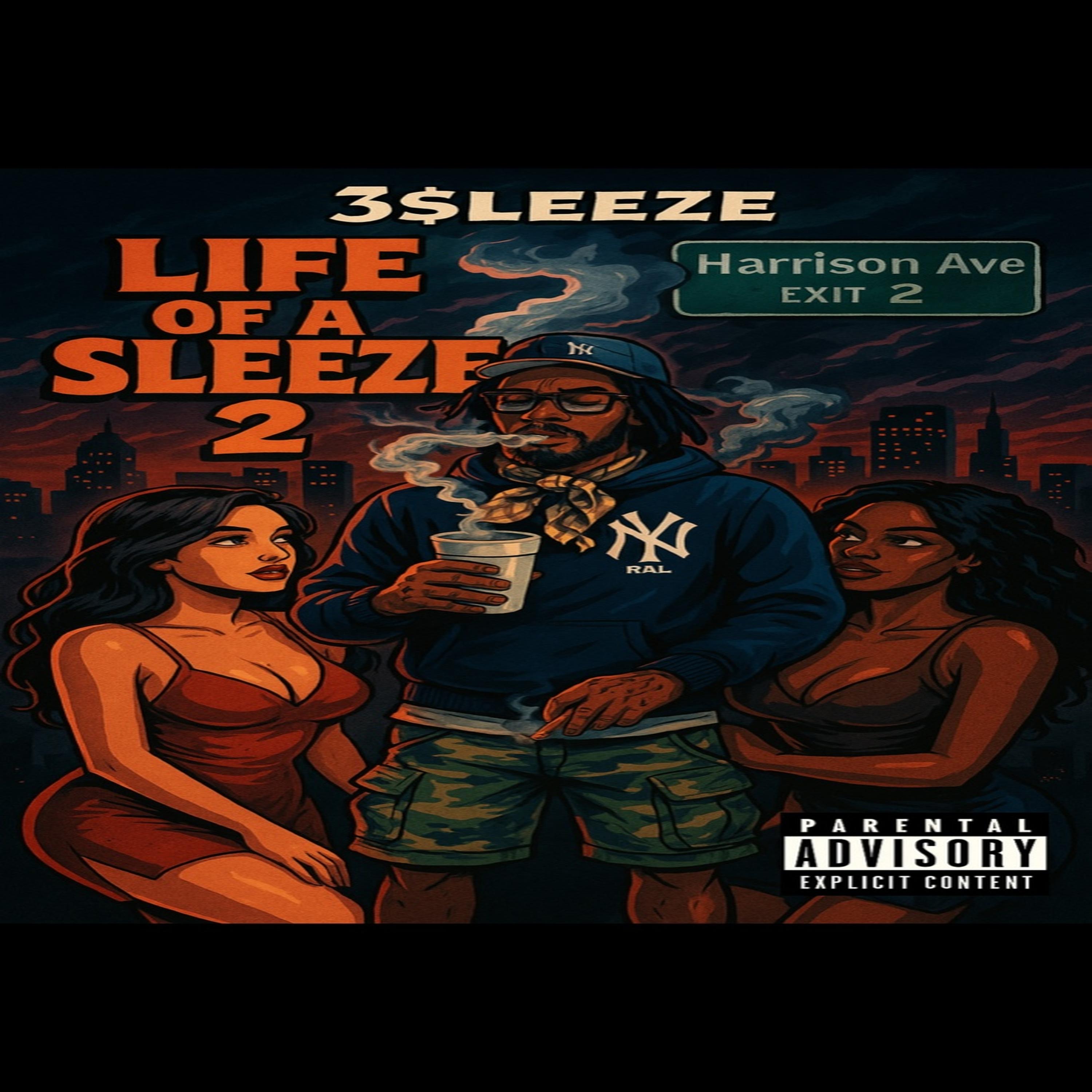 Life Of A Sleeze 2 artwork