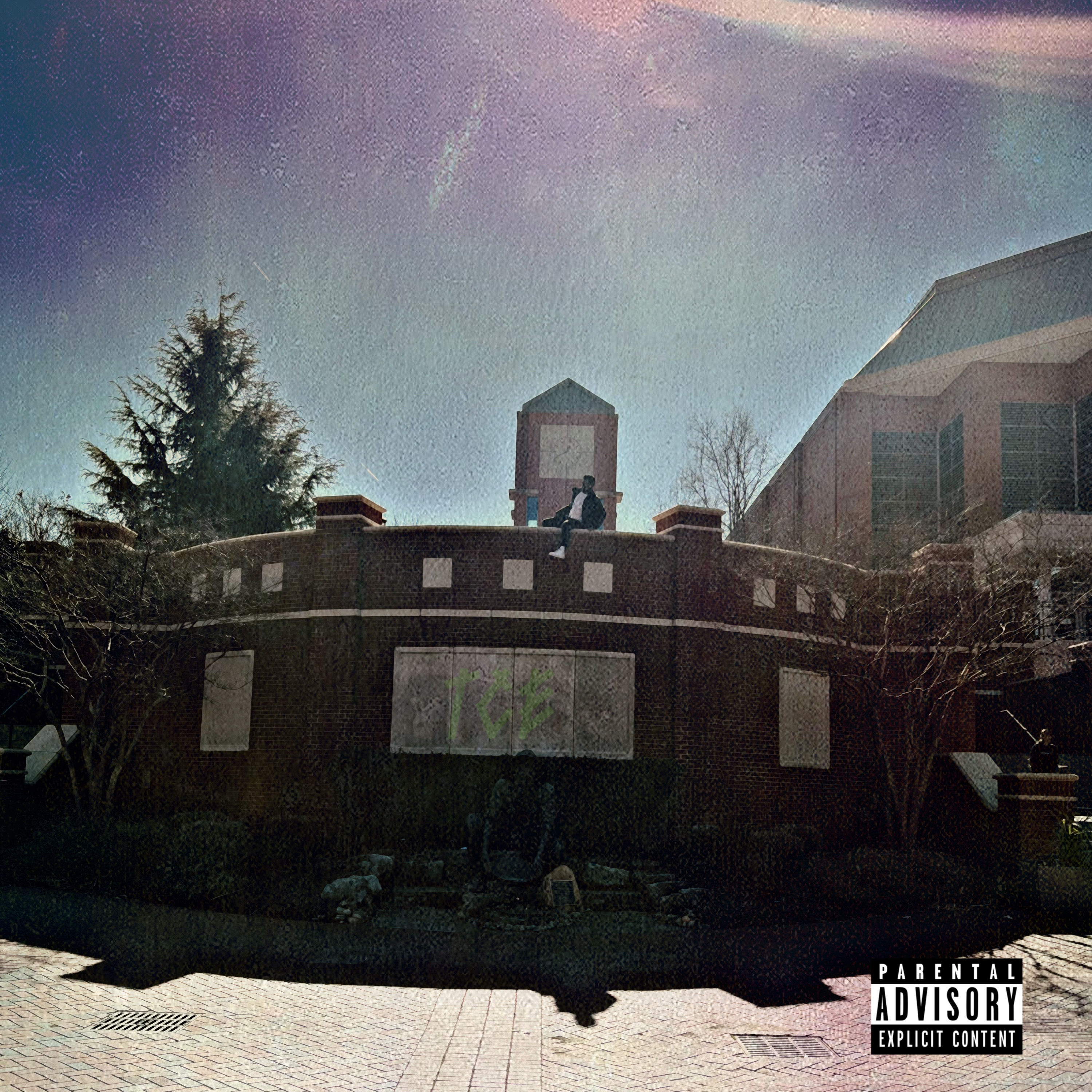 The College Experience by Chris Cross cover art