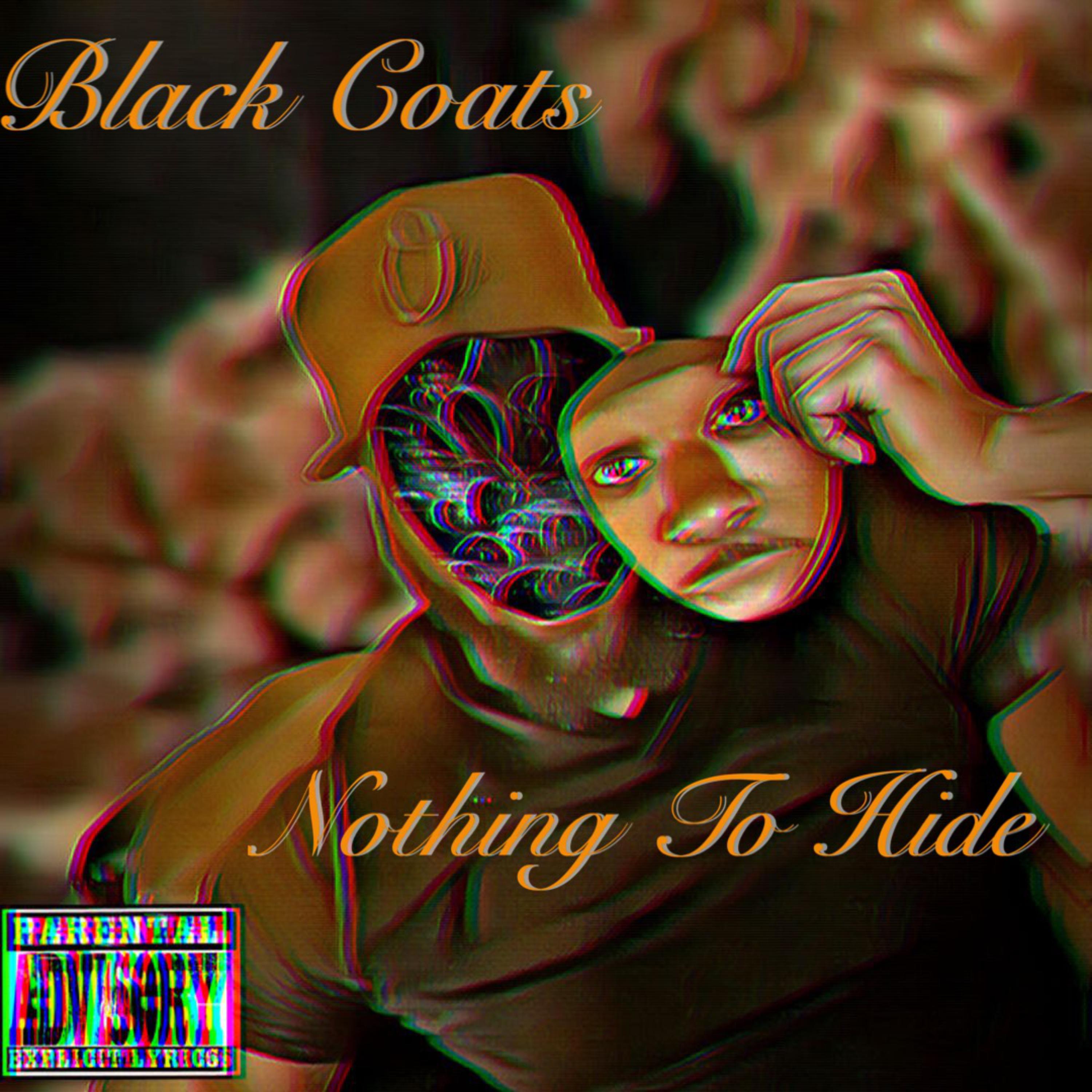 Nothing To Hide artwork
