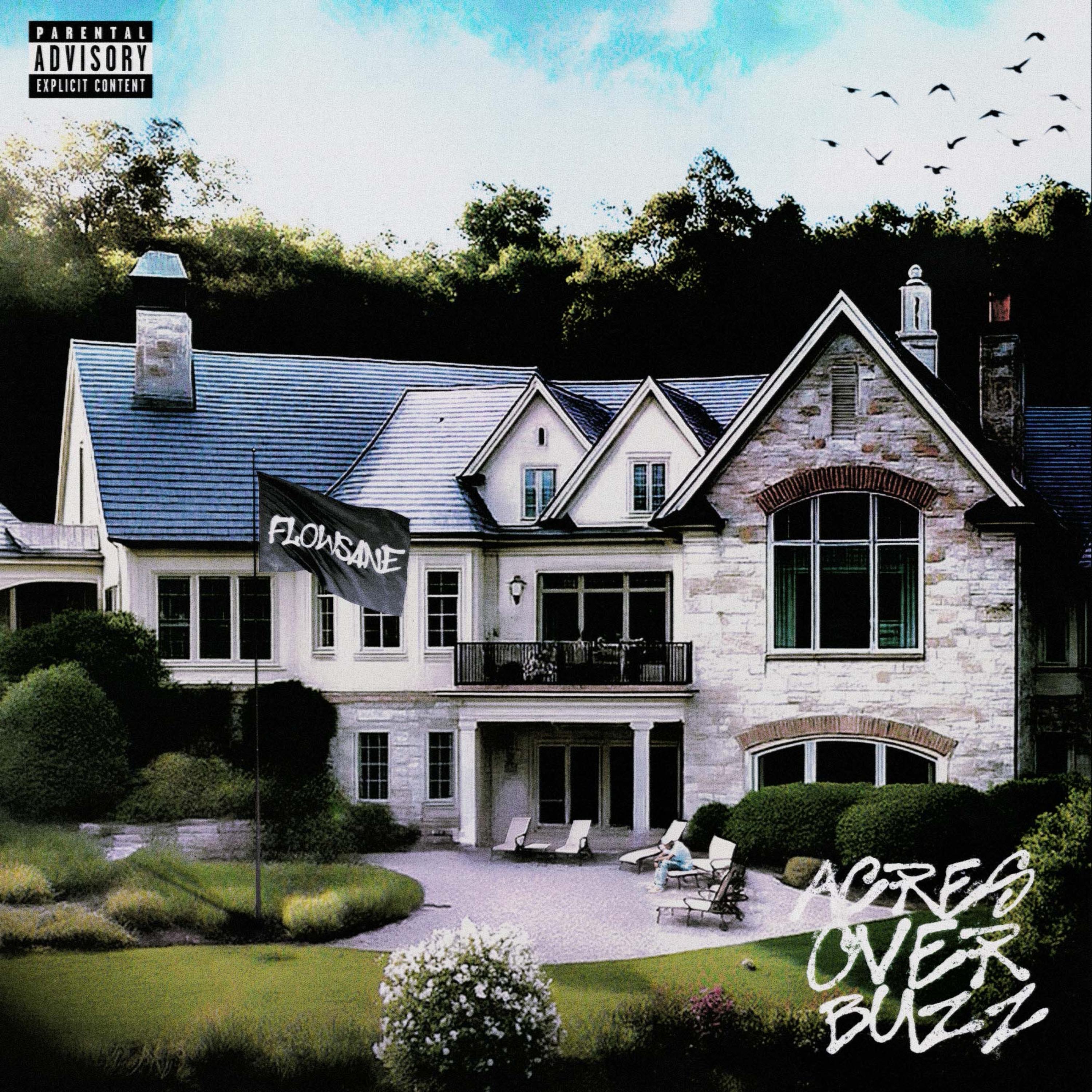 Acres Over Buzz artwork