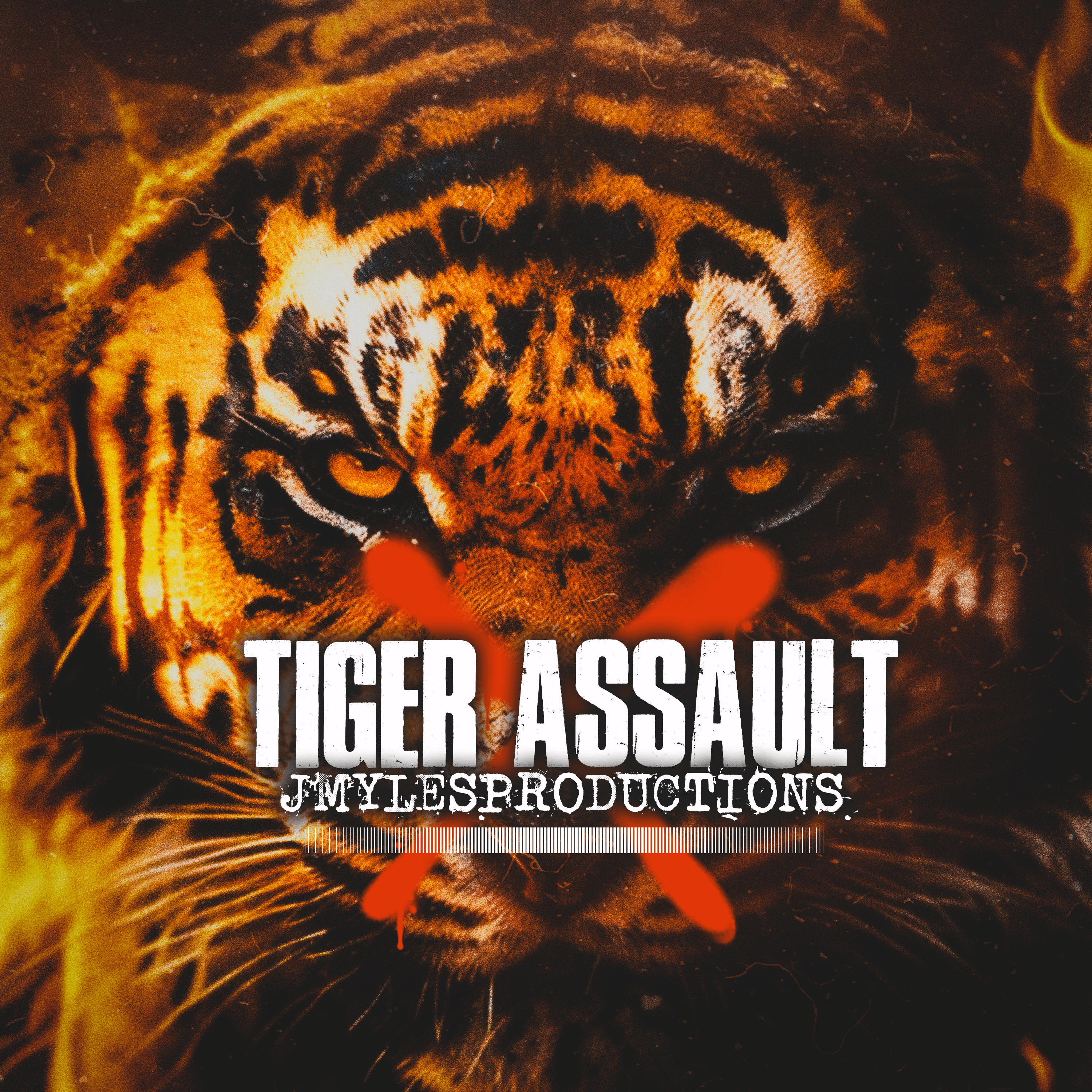 TIGER ASSAULT artwork