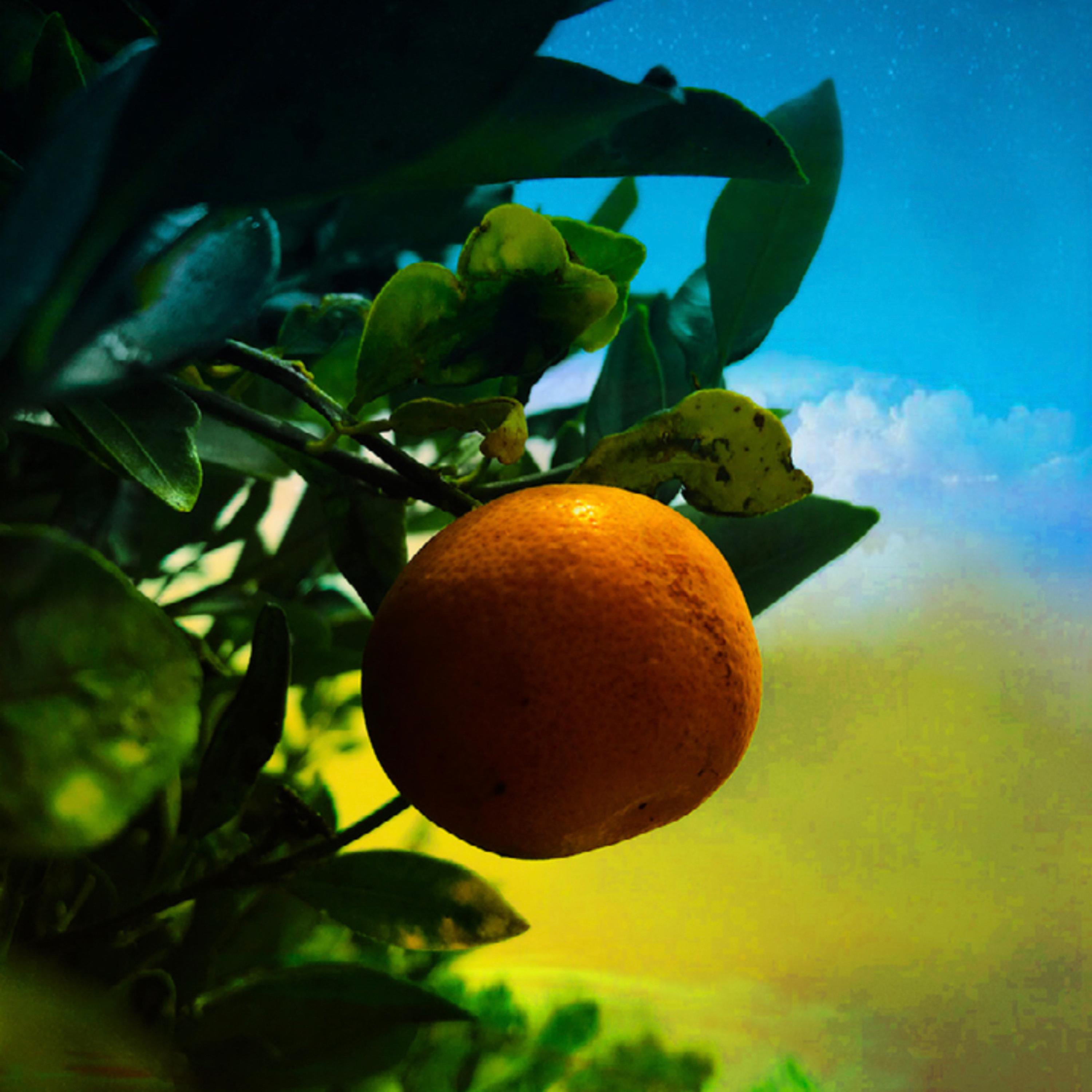 Peach Orchard by Perfecting Brilliance cover art