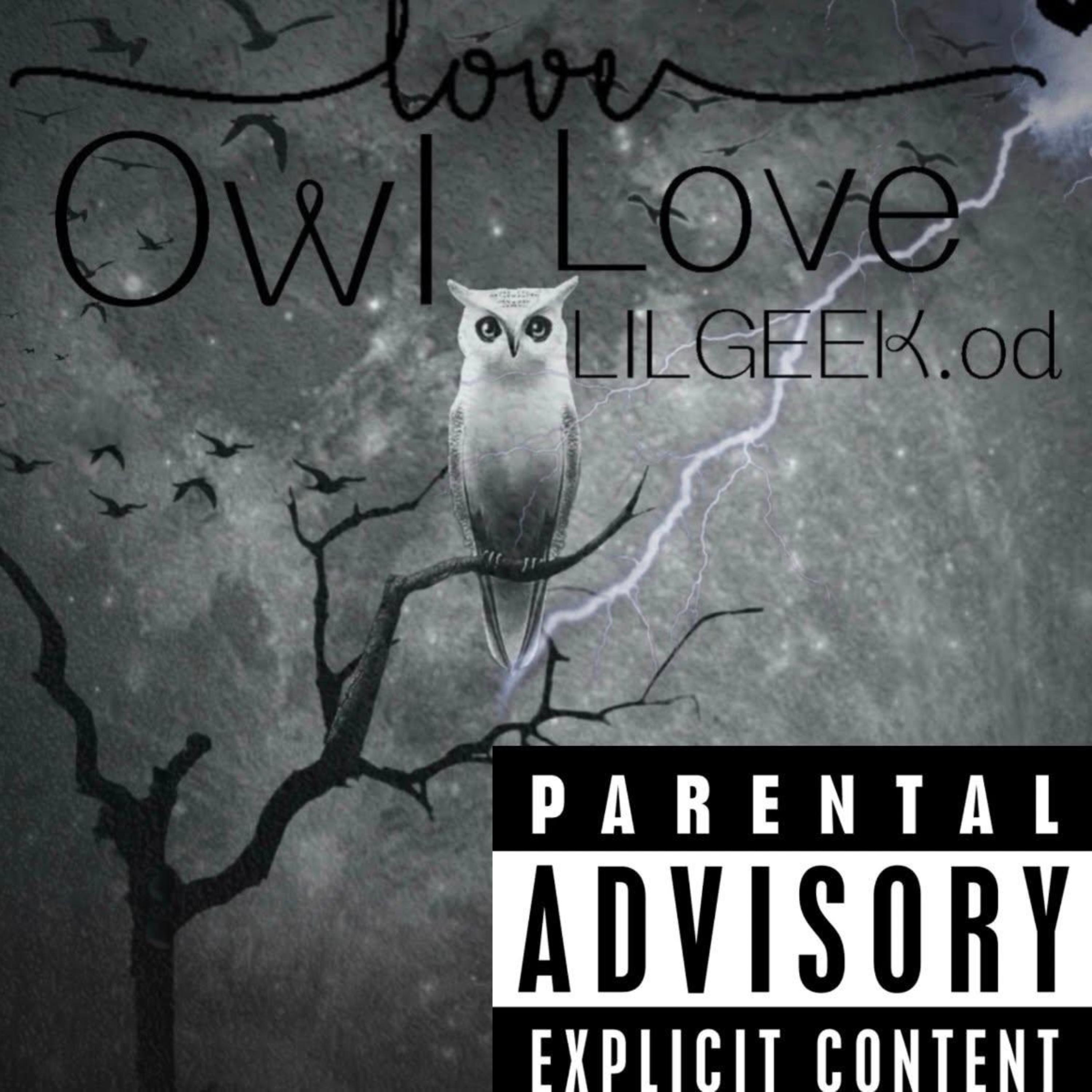 Owl Love by LILGEEK cover art