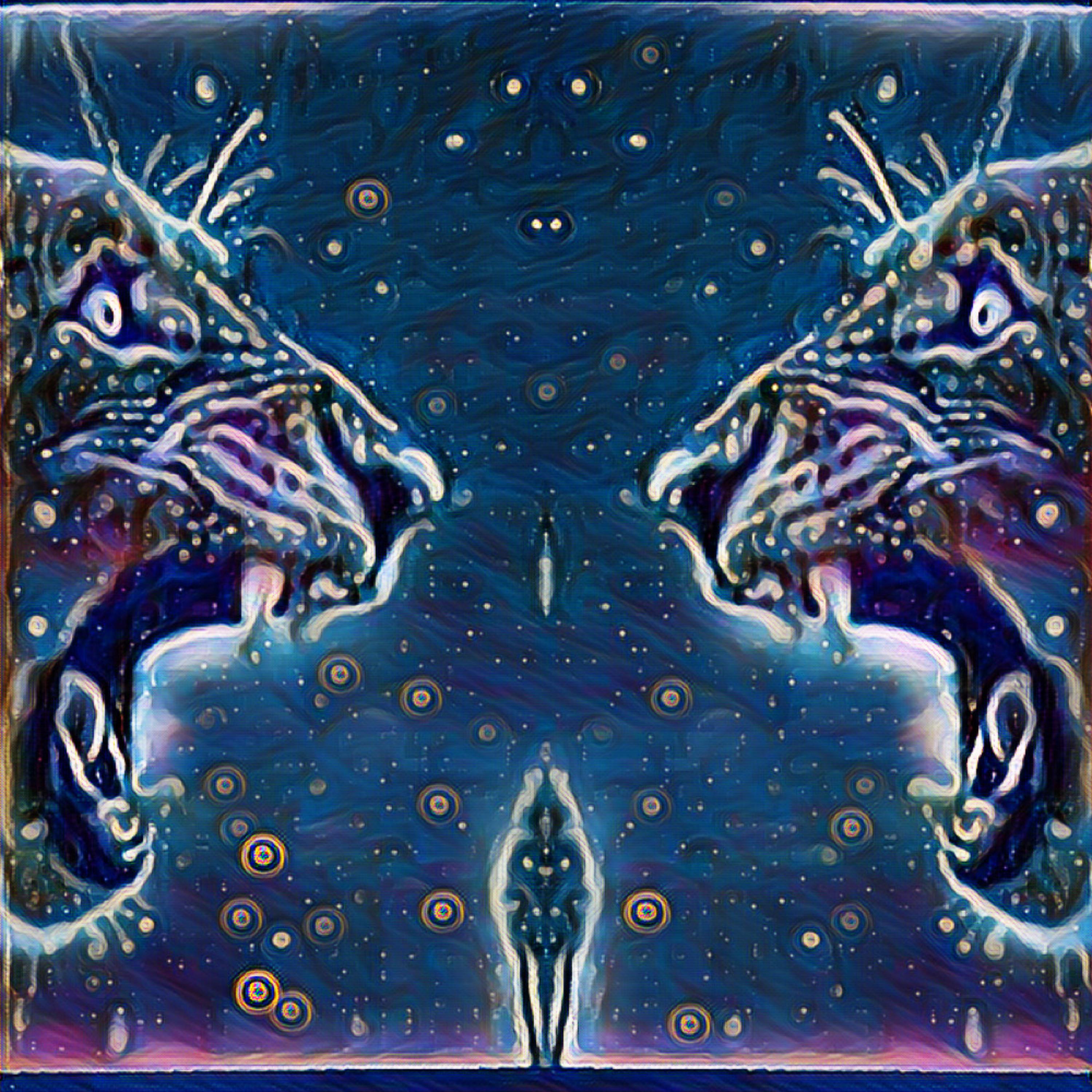 Im Sorry artwork