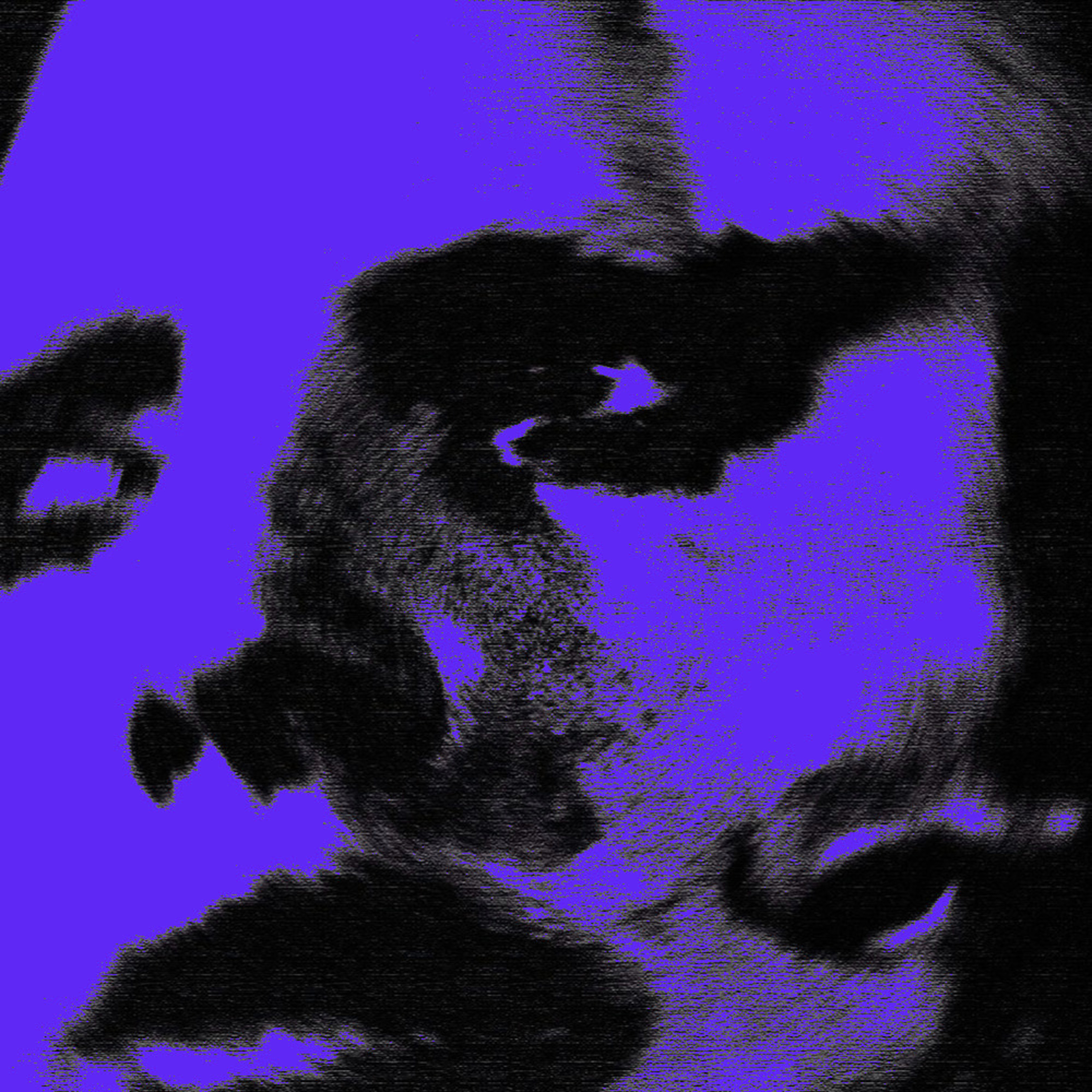 SEROTONIN 2 artwork
