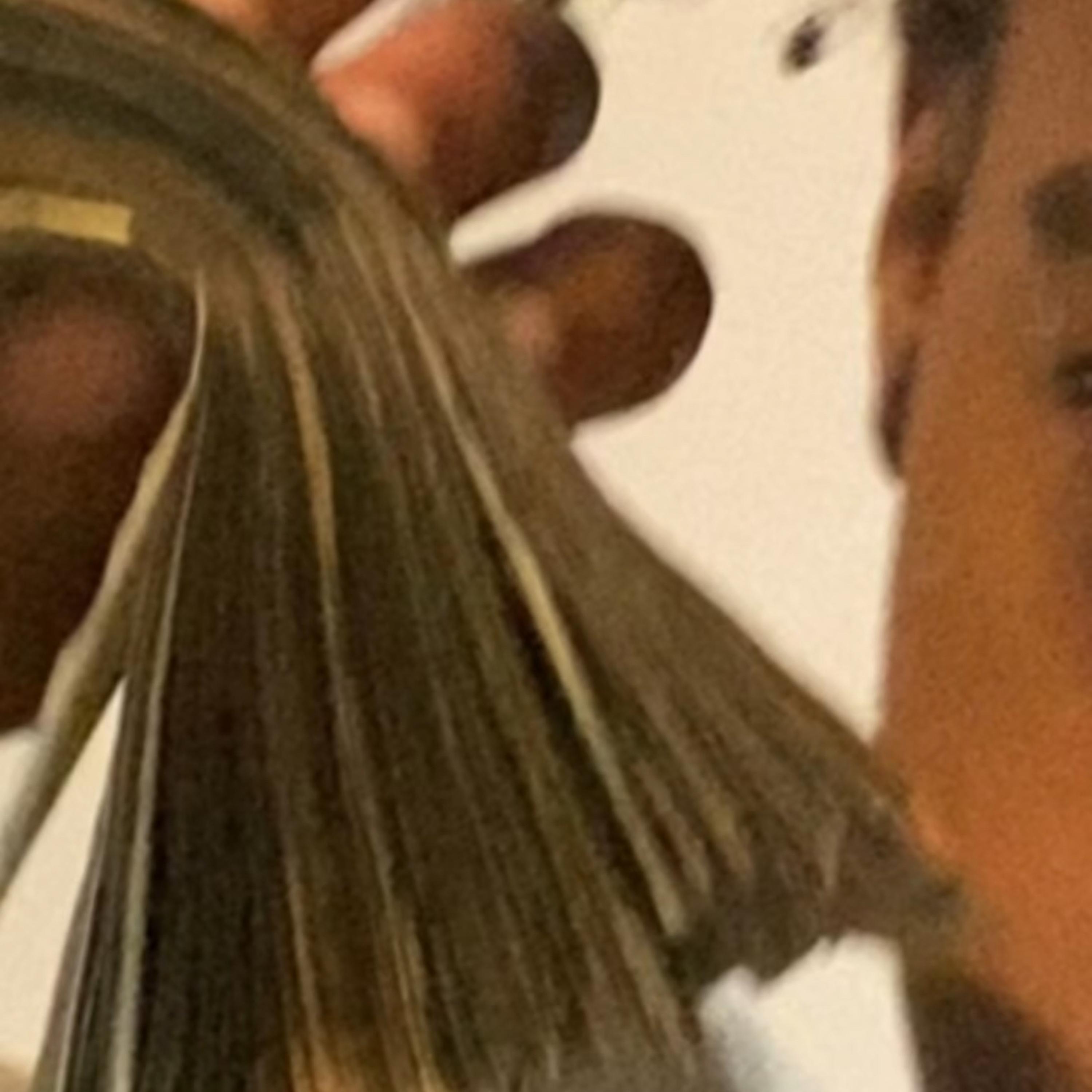 tryna win artwork