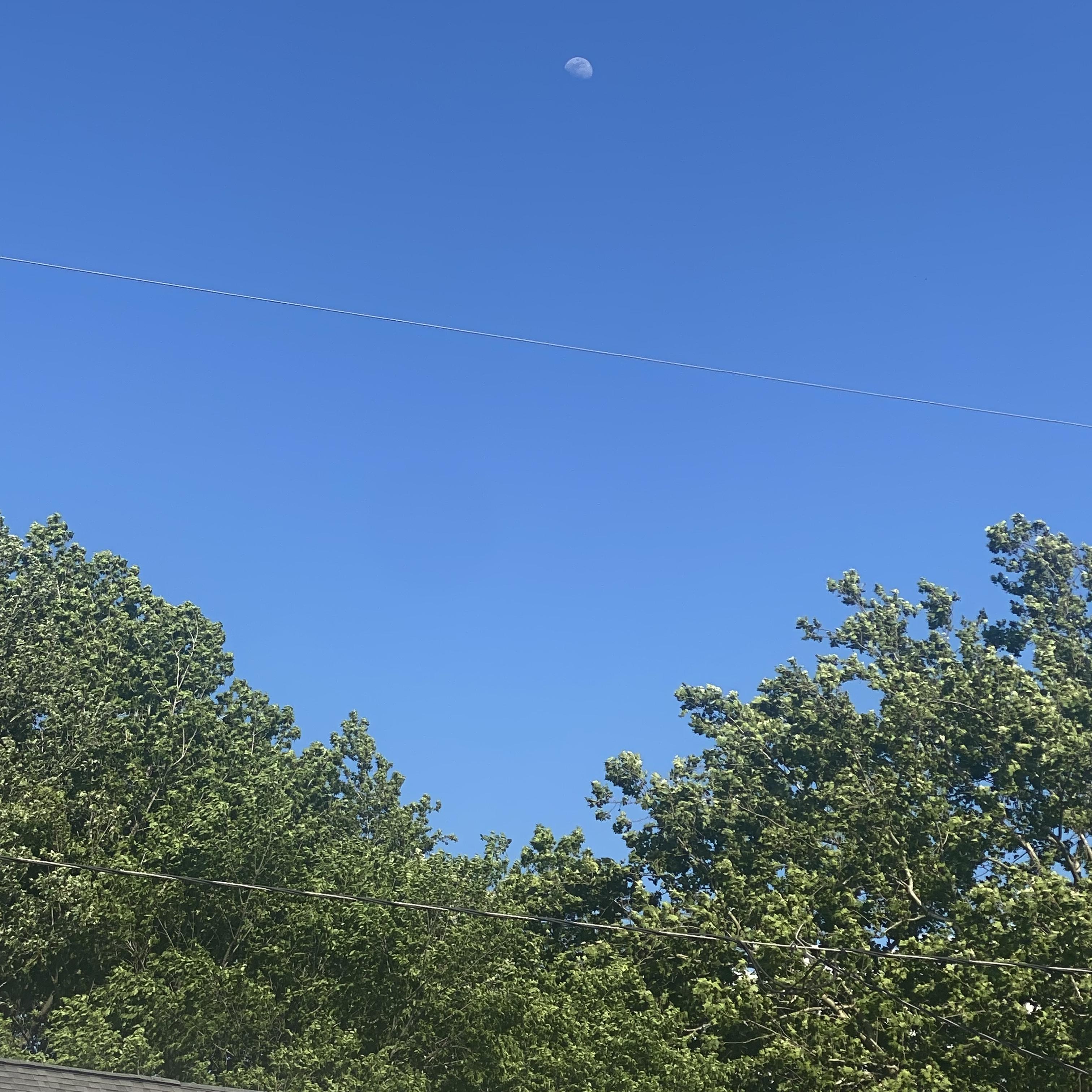 Paper Chasin artwork