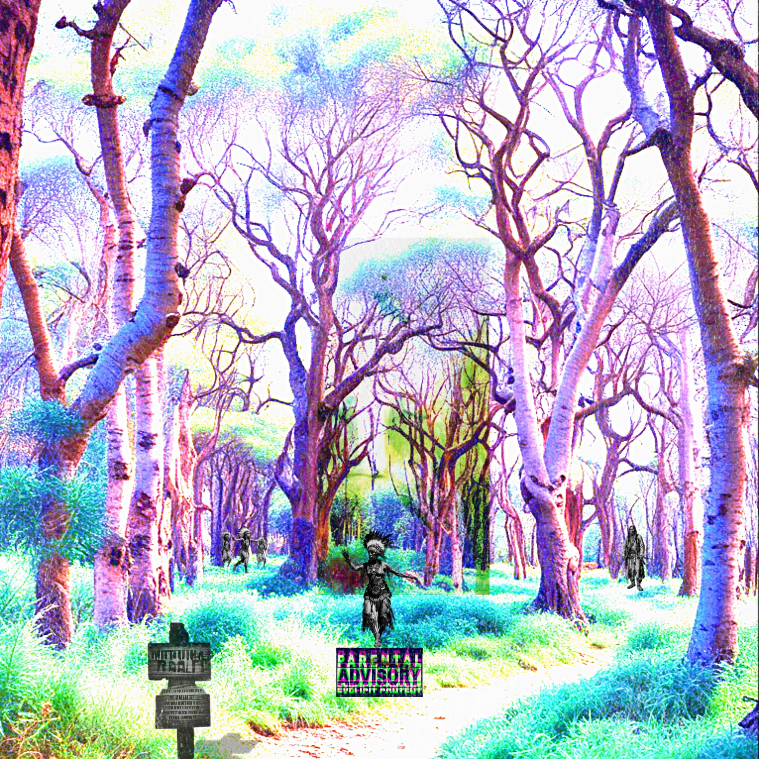 Native Land artwork
